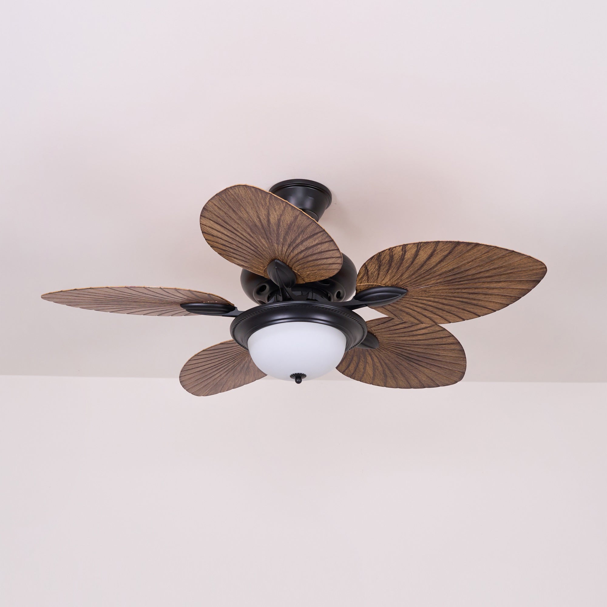 Yearn Natural Classic Walnut Acrylic Ceiling Fan Light - Lamp Copper