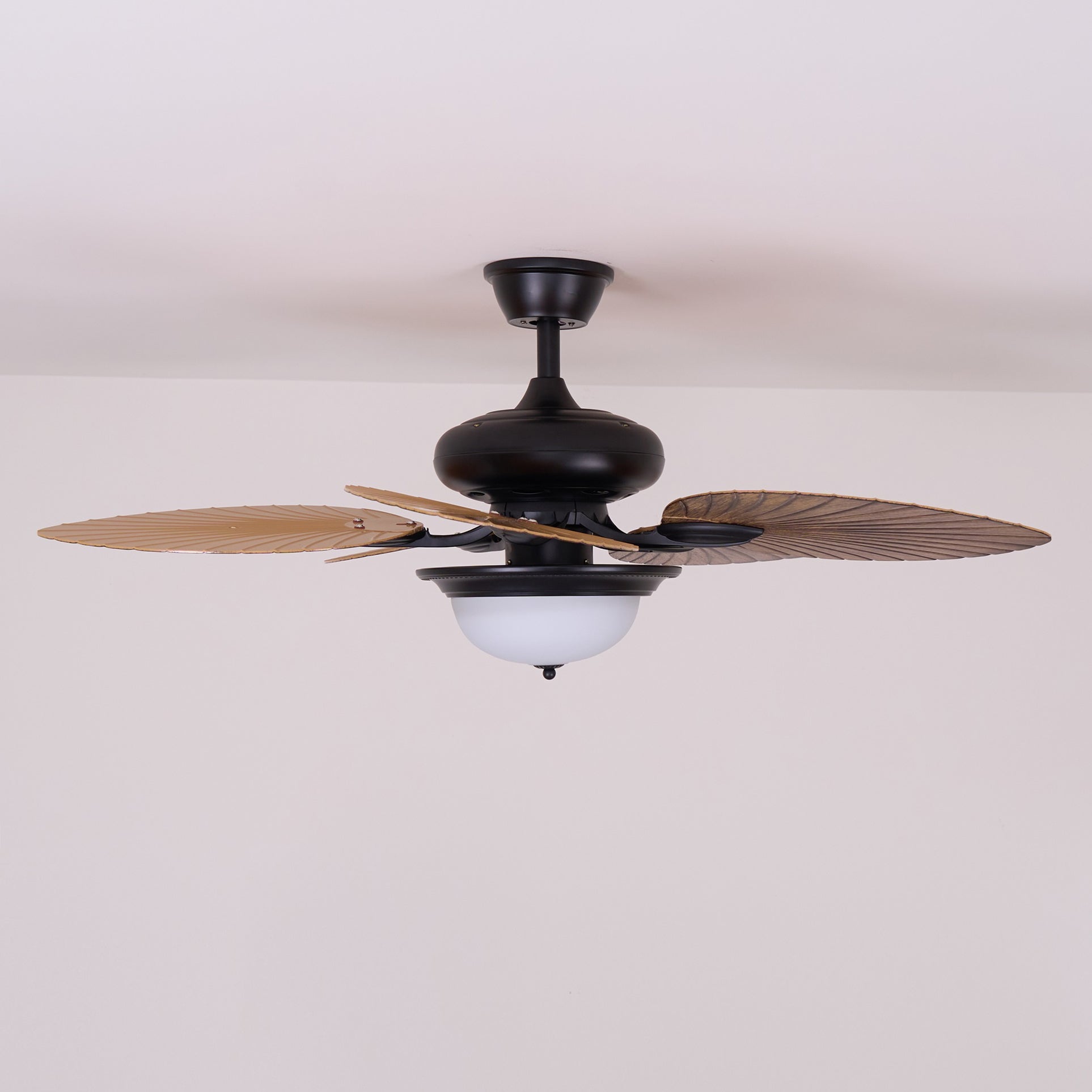 Yearn Natural Classic Walnut Acrylic Ceiling Fan Light - Lamp Copper