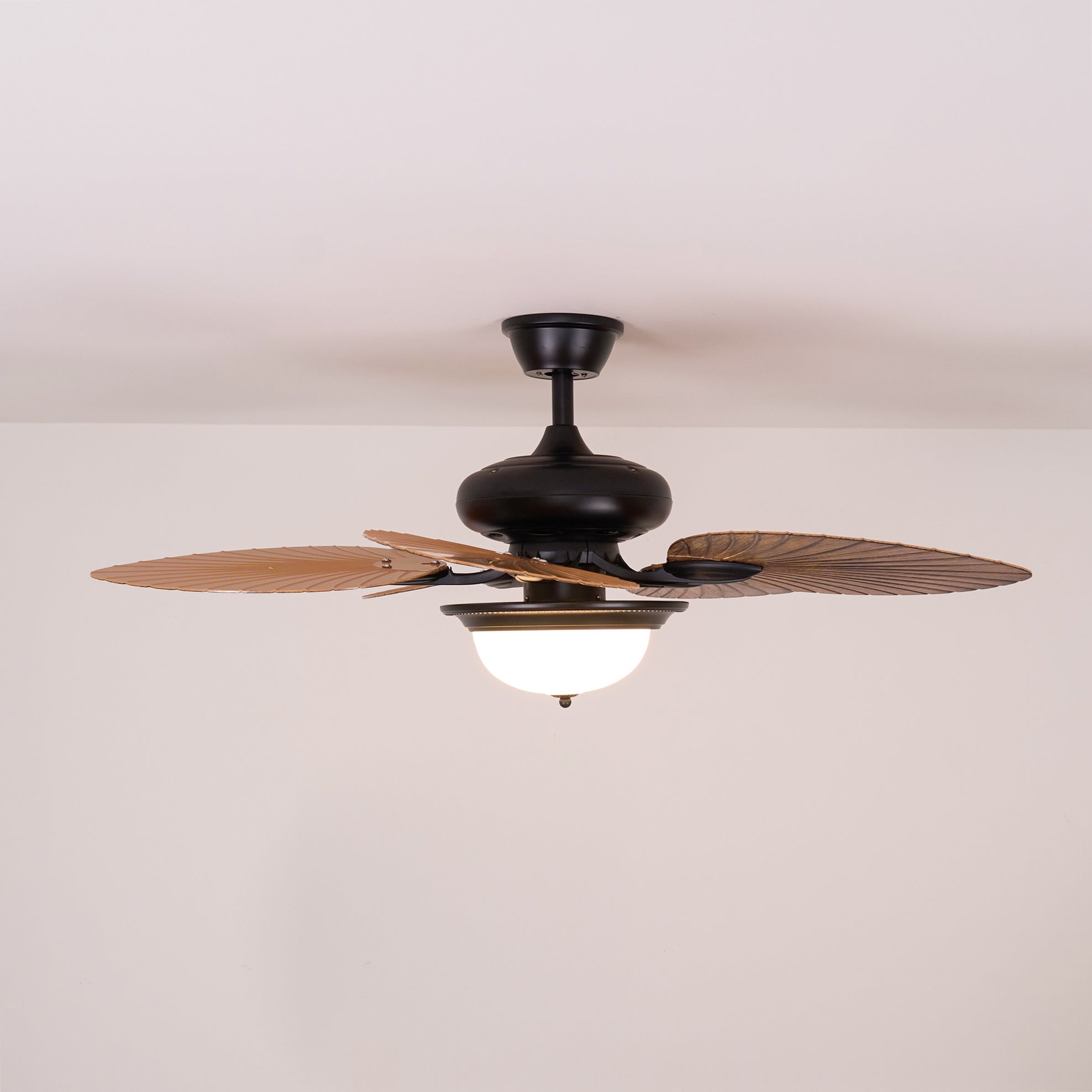 Yearn Natural Classic Walnut Acrylic Ceiling Fan Light - Lamp Copper