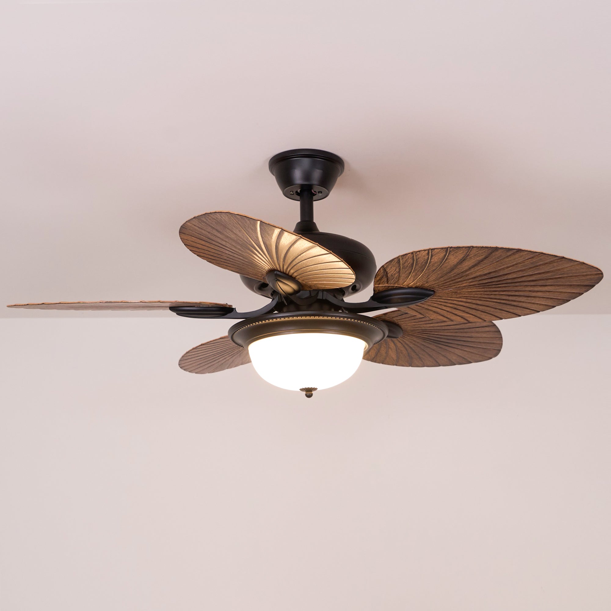 Yearn Natural Classic Walnut Acrylic Ceiling Fan Light - Lamp Copper
