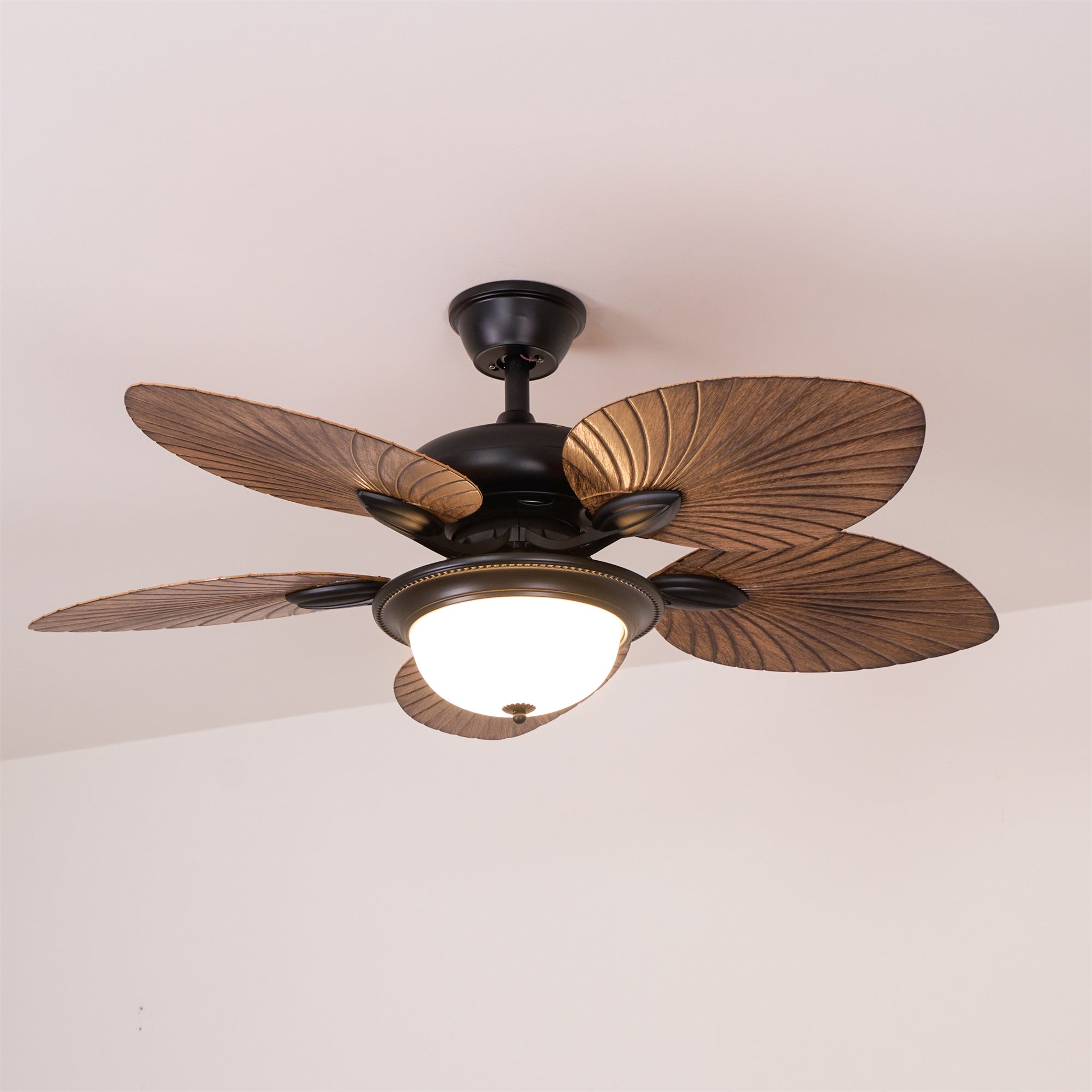 Yearn Natural Classic Walnut Acrylic Ceiling Fan Light - Lamp Copper