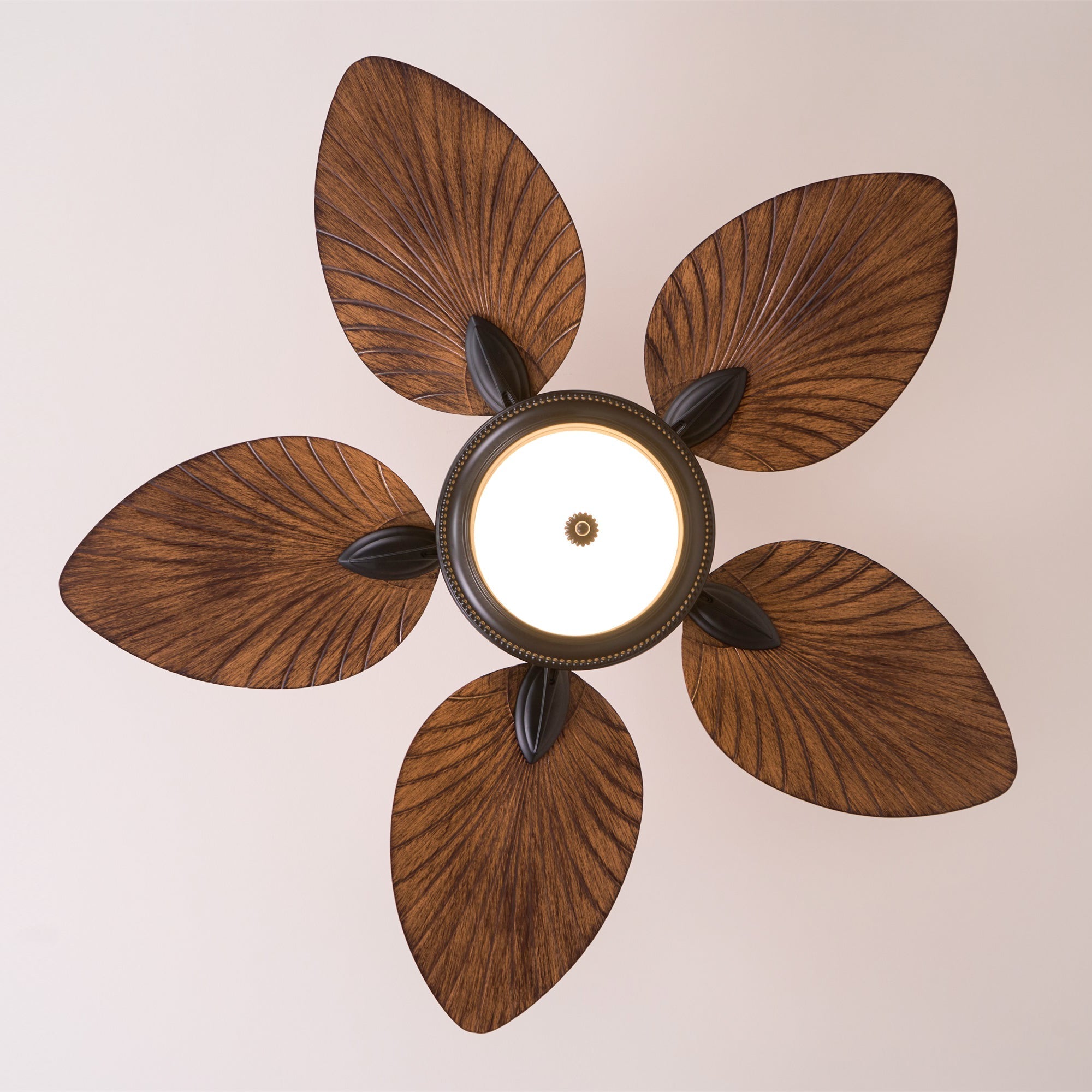 Yearn Natural Classic Walnut Acrylic Ceiling Fan Light - Lamp Copper
