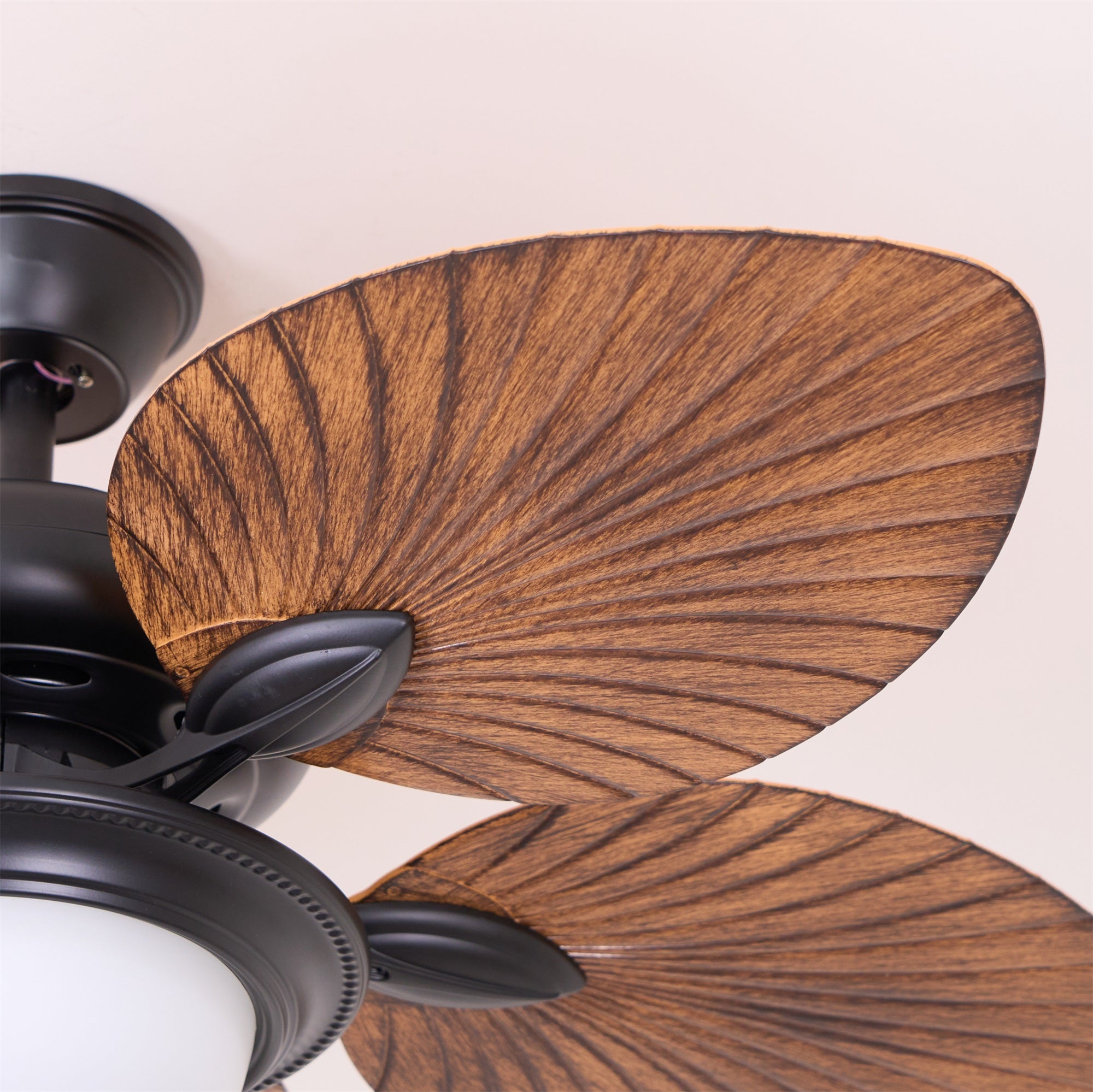 Yearn Natural Classic Walnut Acrylic Ceiling Fan Light - Lamp Copper