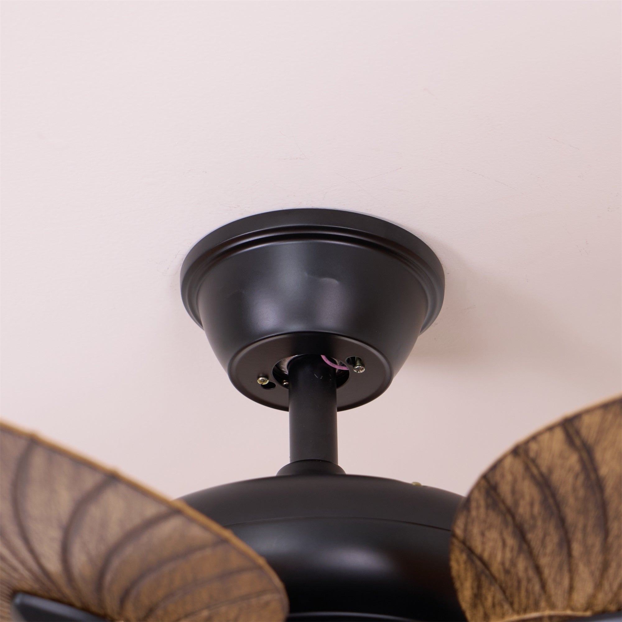 Yearn Natural Classic Walnut Acrylic Ceiling Fan Light - Lamp Copper