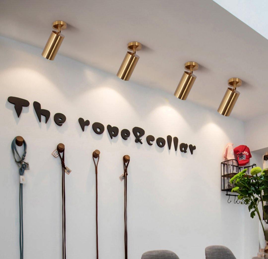 Cylinder Brass Series Ceiling Lamp - Blowlighting