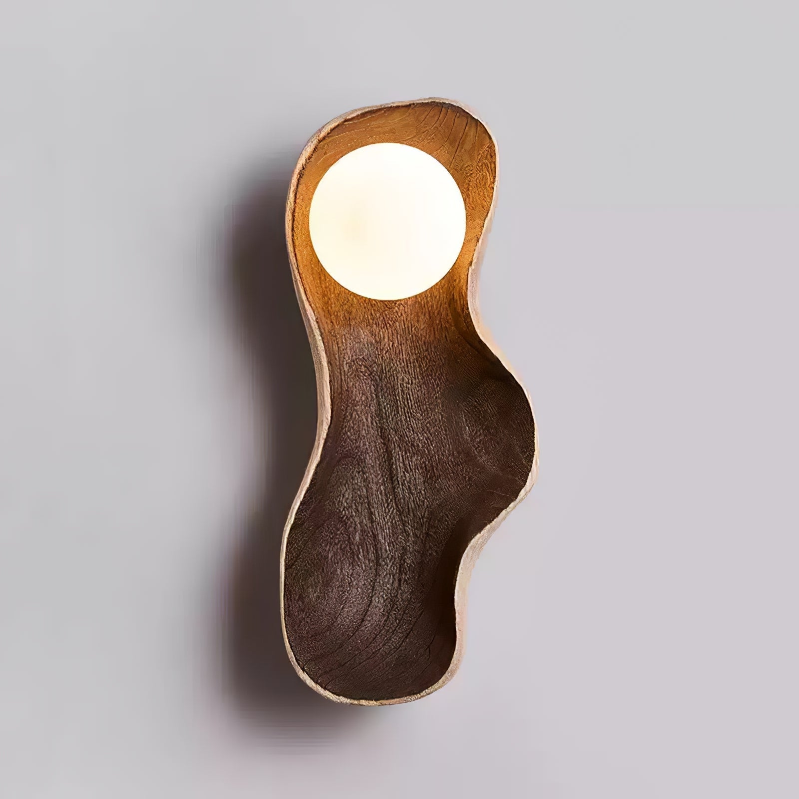 Dualis Applique Murale Moderne en Bois Rootlight