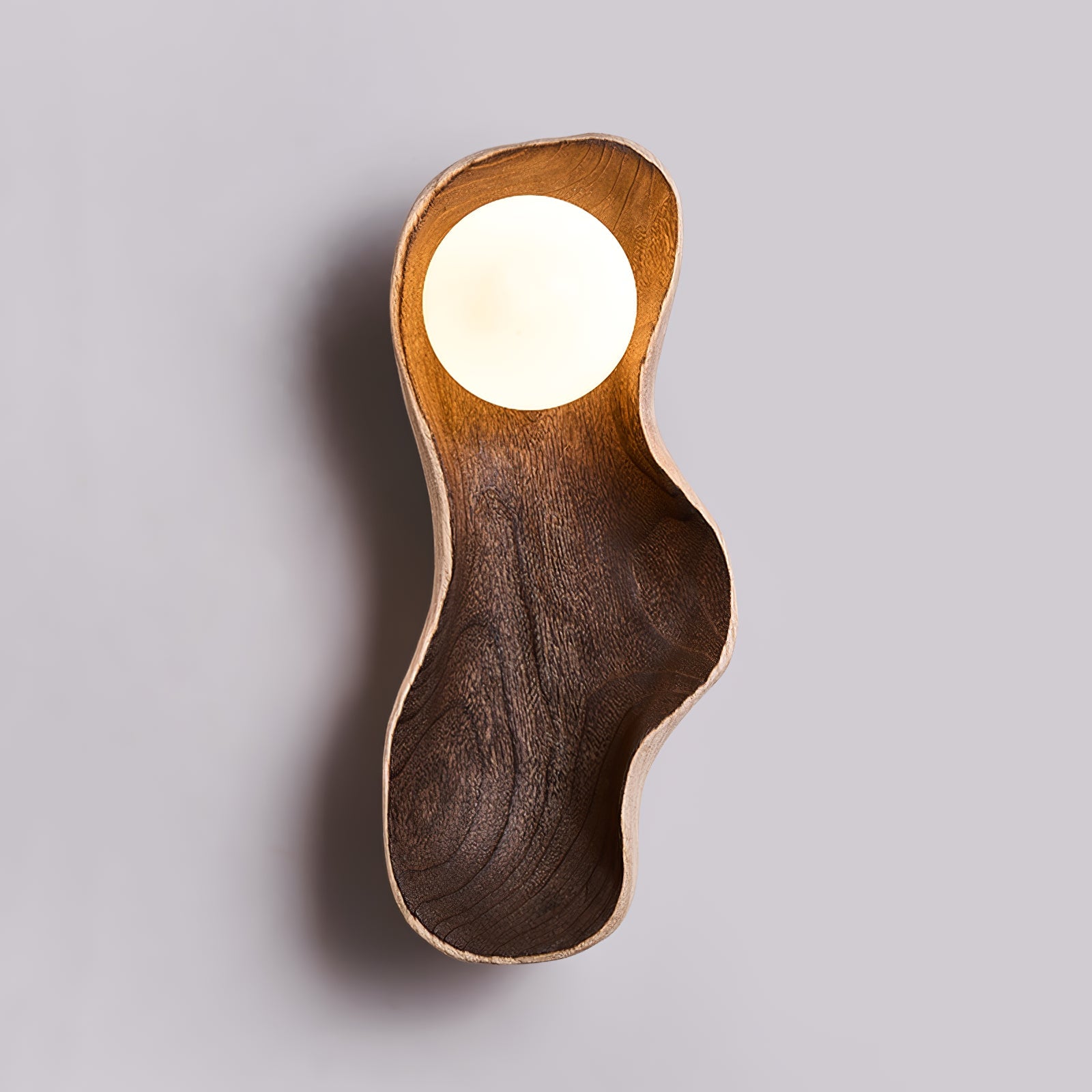 Dualis Applique Murale Moderne en Bois Rootlight