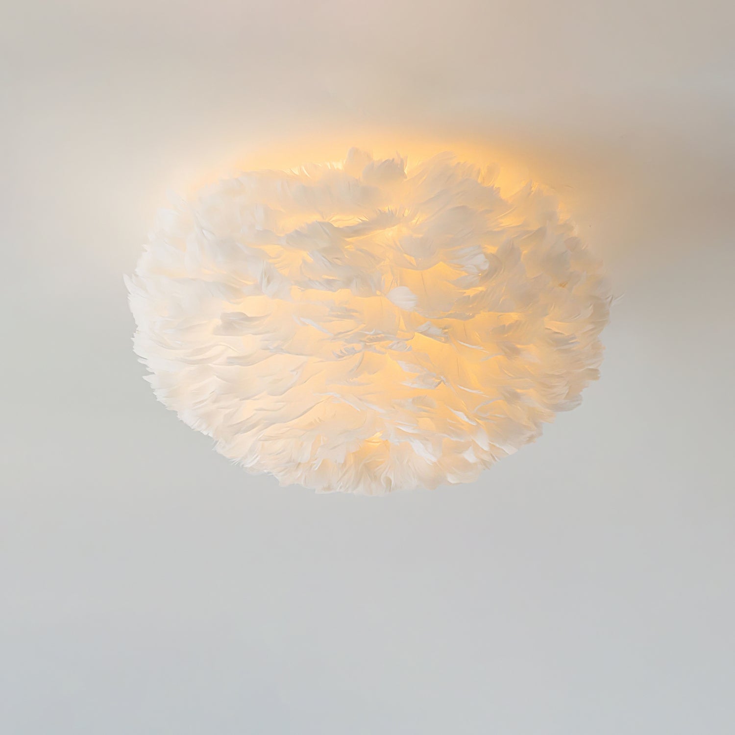 Feathered Ceiling Lamp - Blowlighting