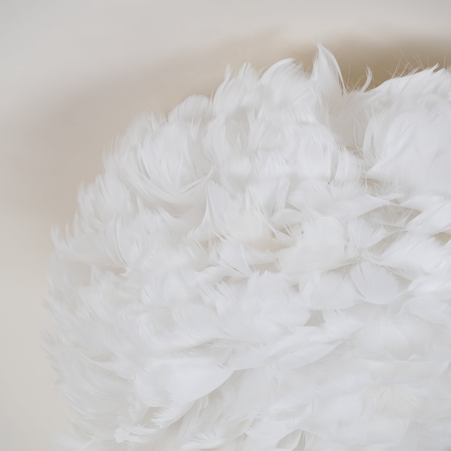 Feathered Ceiling Lamp - Blowlighting