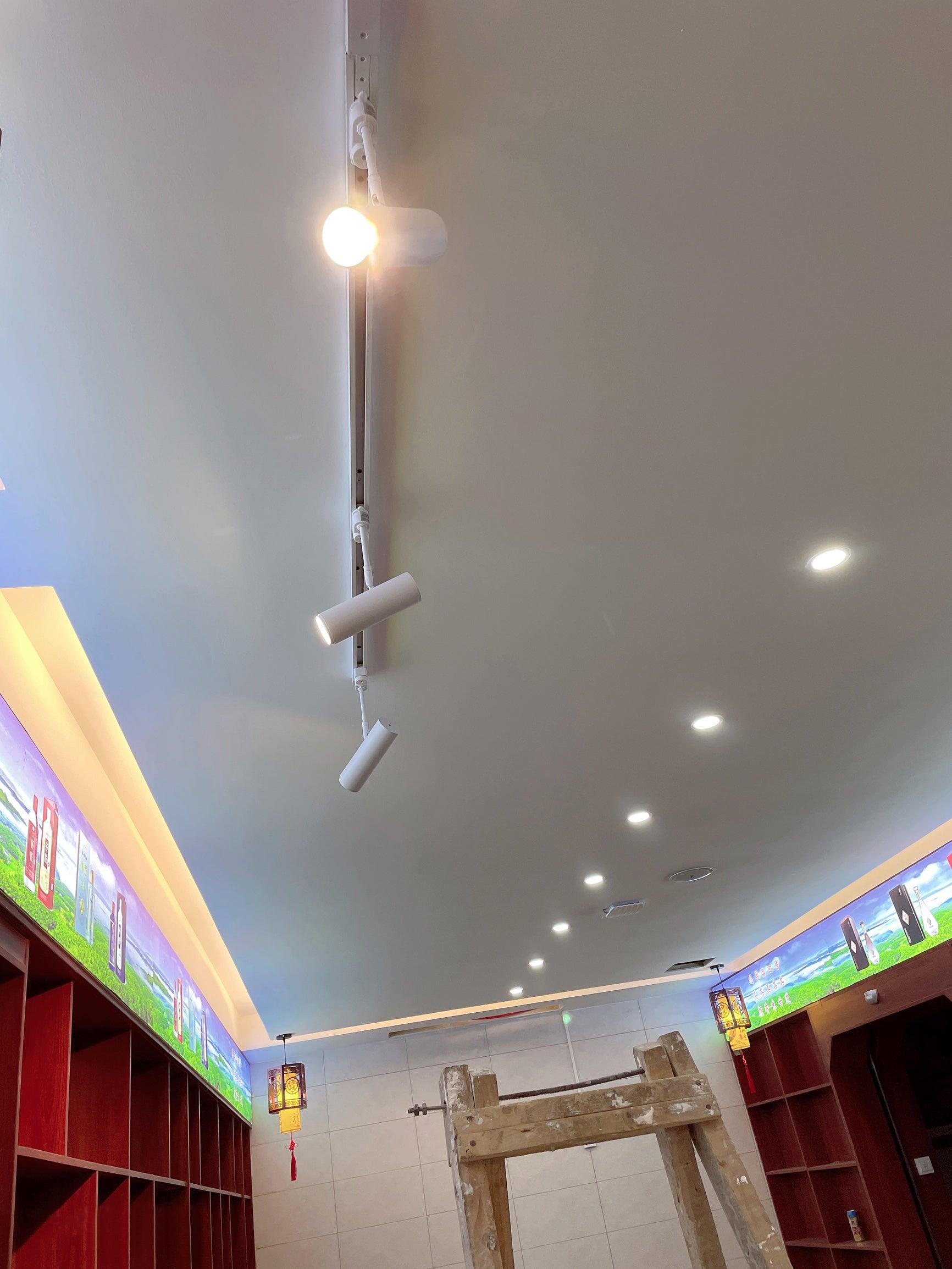 Flatspot Ceiling Light - Blowlighting
