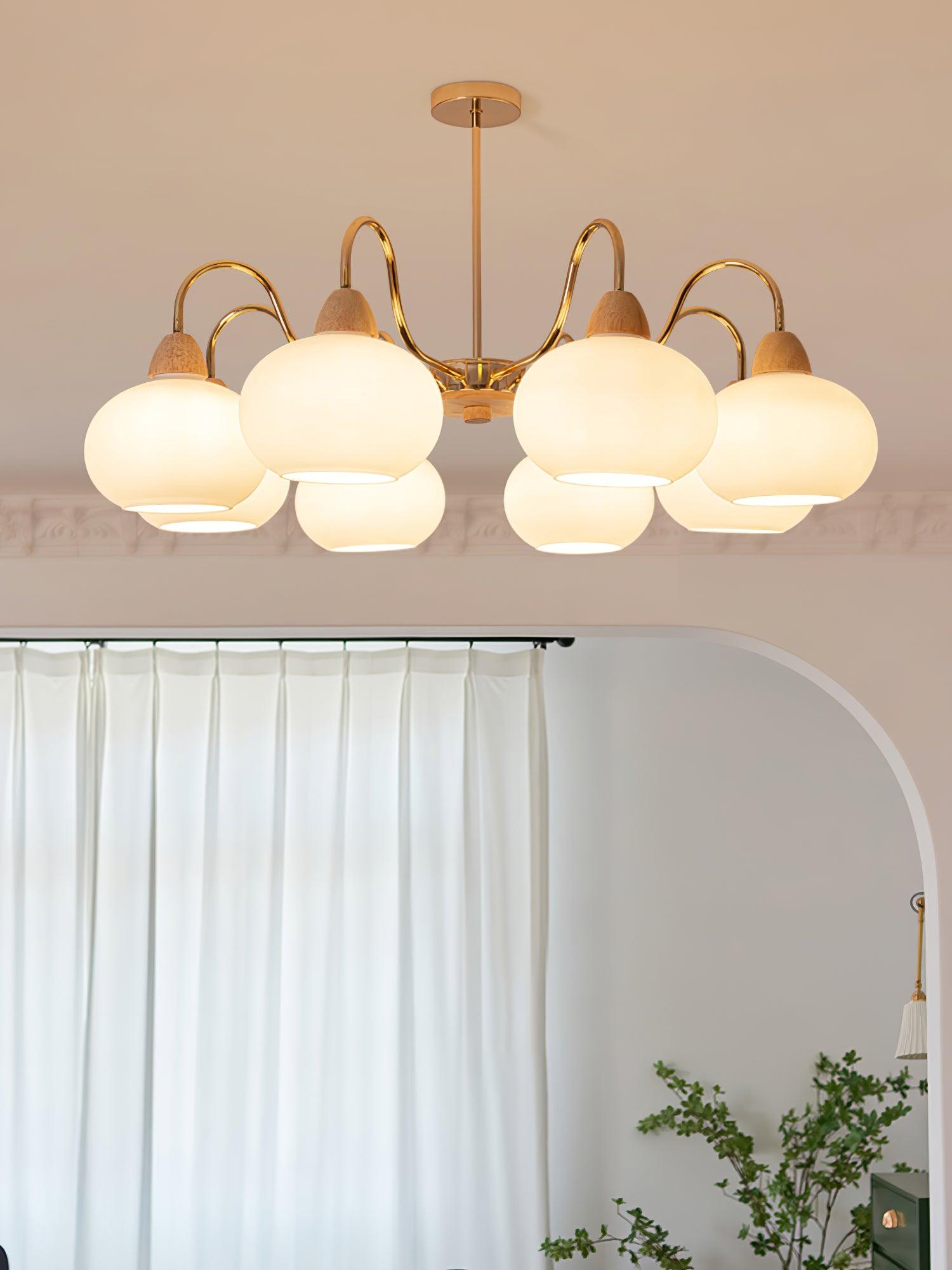 Zevena Glass Chandelier - Letslighting