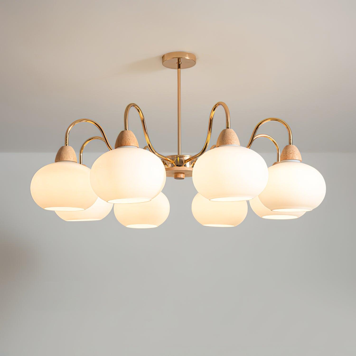 Zevena Glass Chandelier - Letslighting