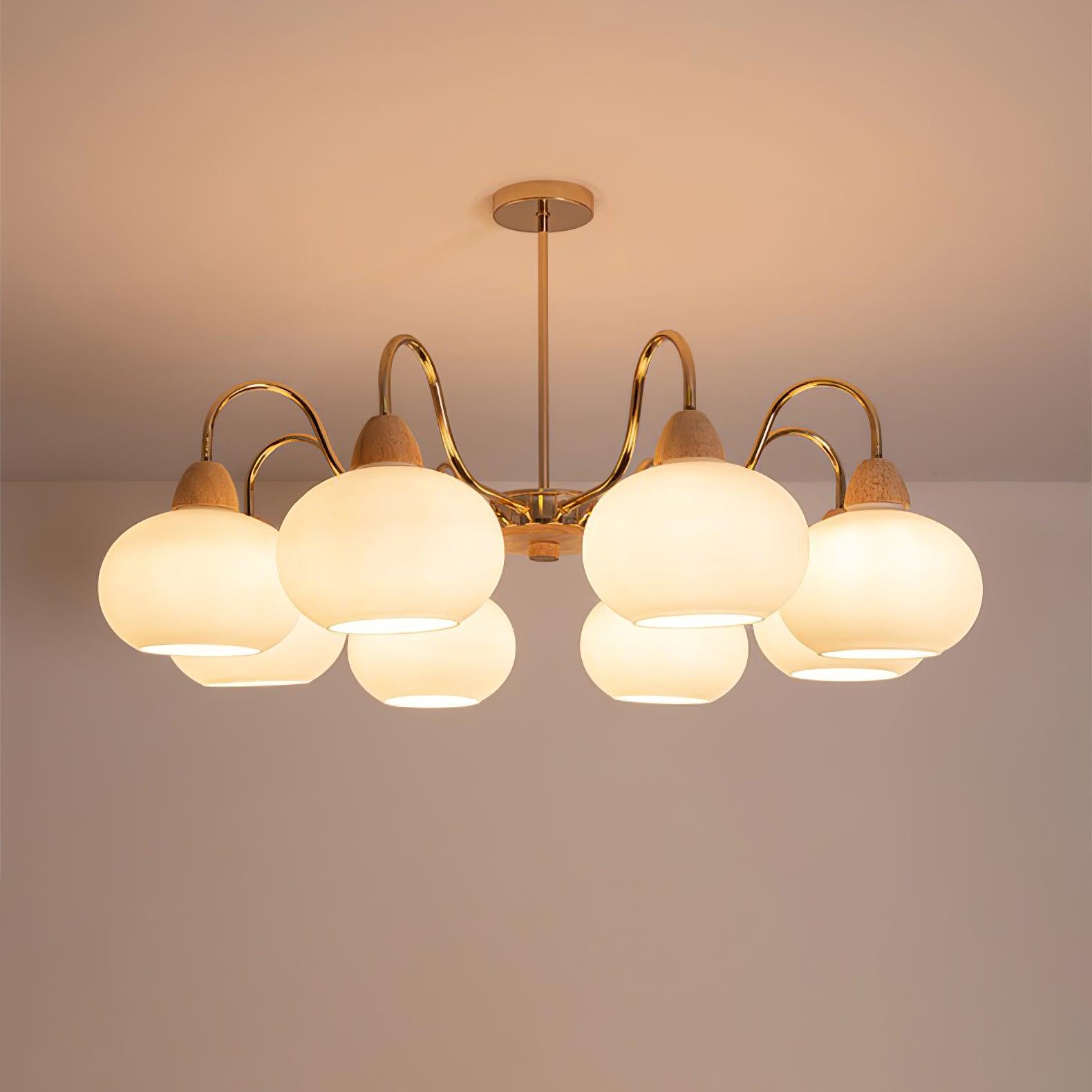 Zevena Glass Chandelier - Letslighting