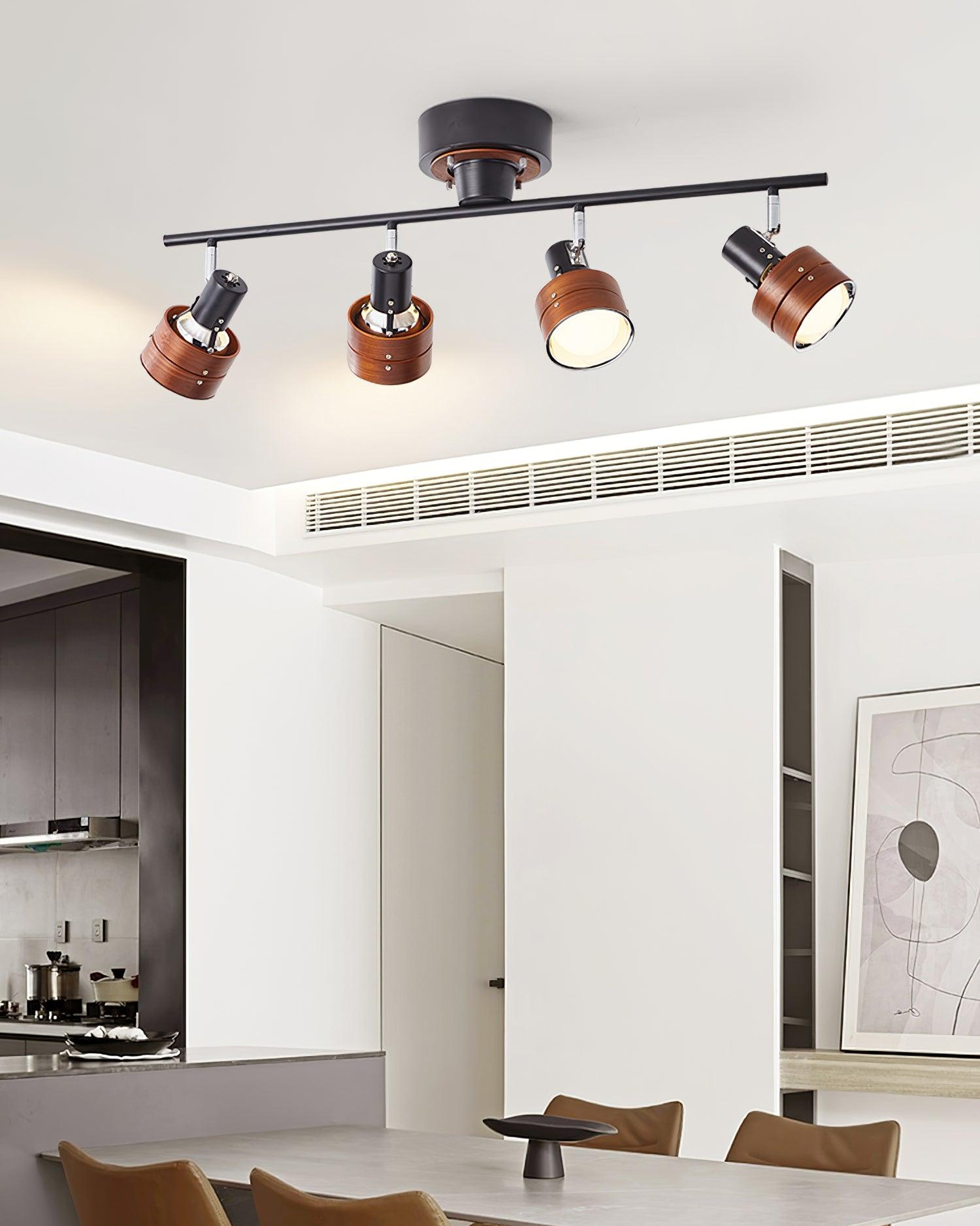 Daven Adjustable 4-Light Track Spotlight - Letslighting