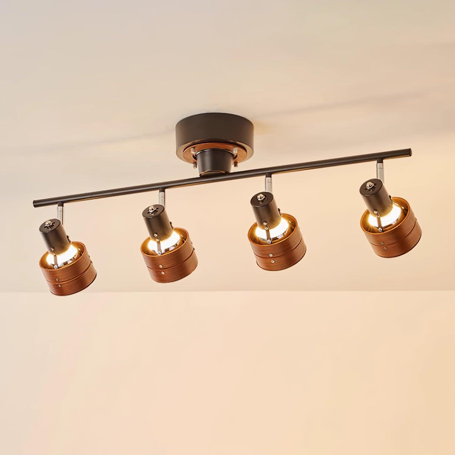 Daven Adjustable 4-Light Track Spotlight - Letslighting