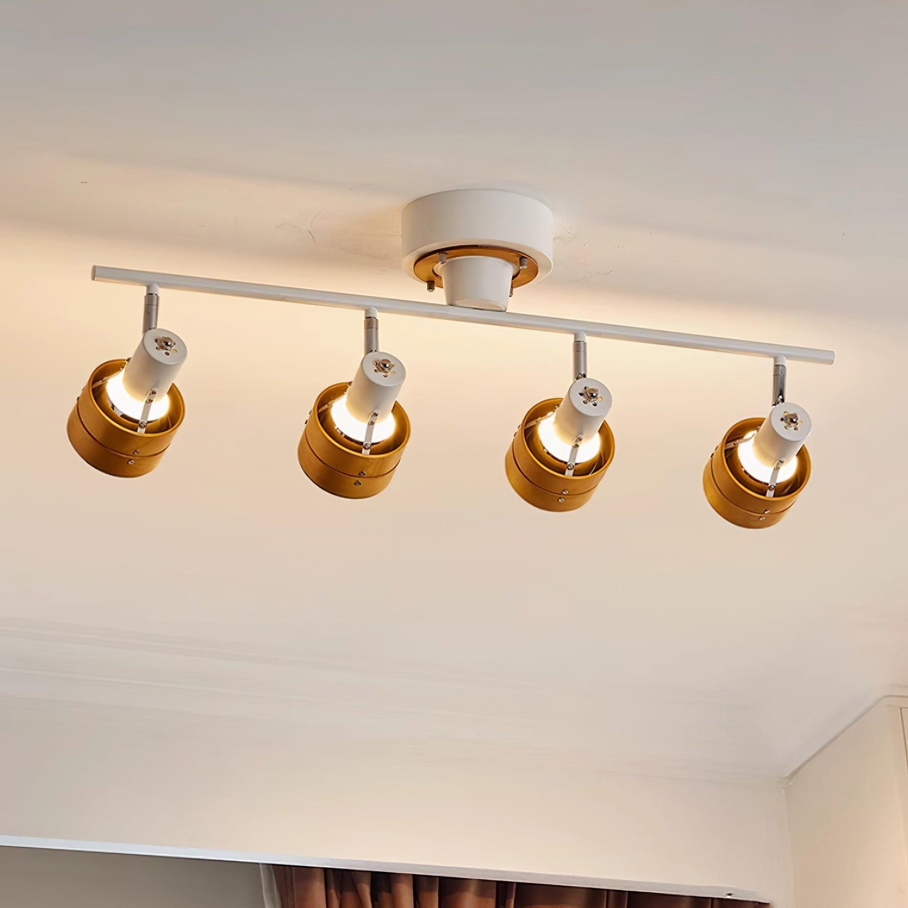 Daven Adjustable 4-Light Track Spotlight - Letslighting