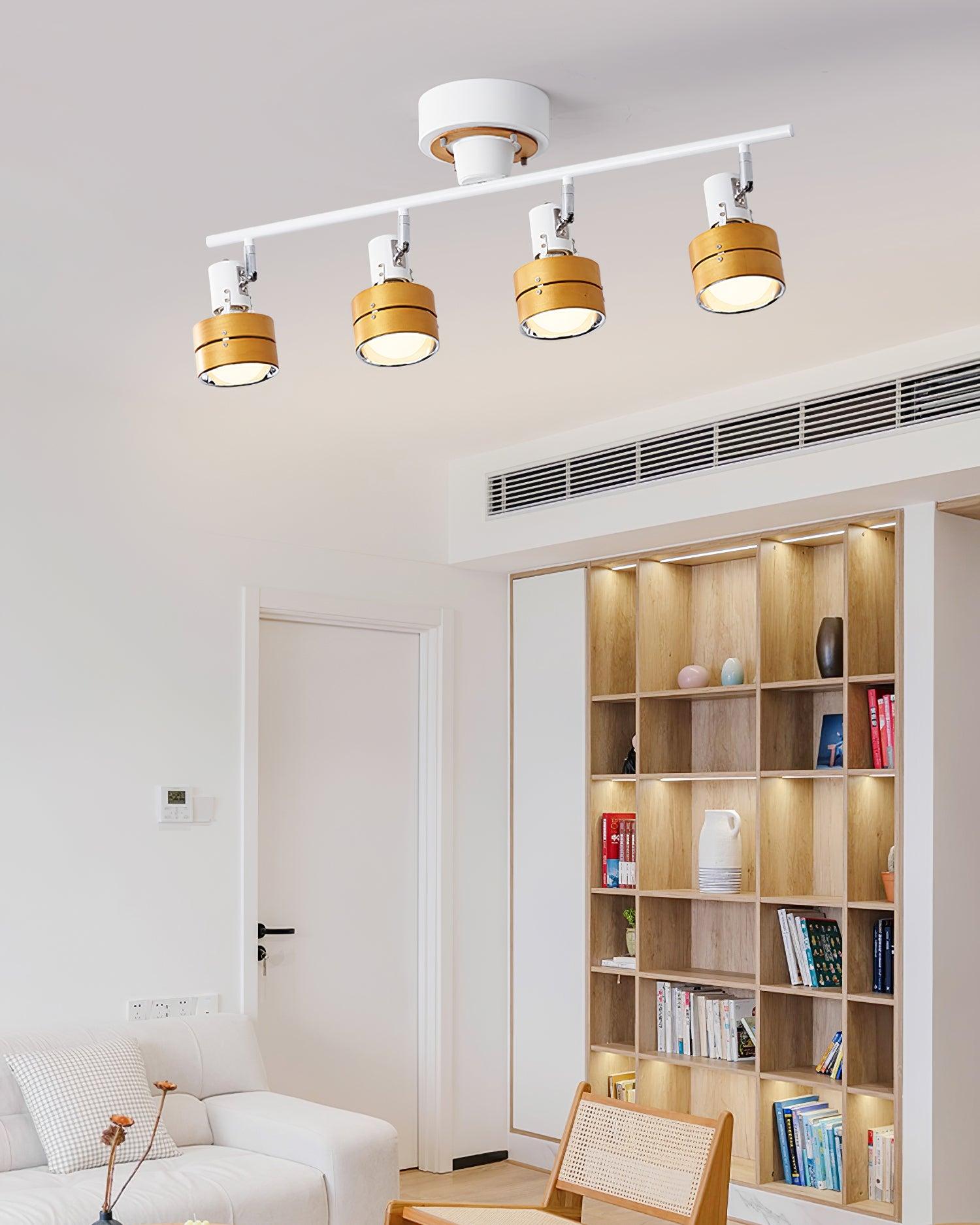 Daven Adjustable 4-Light Track Spotlight - Letslighting