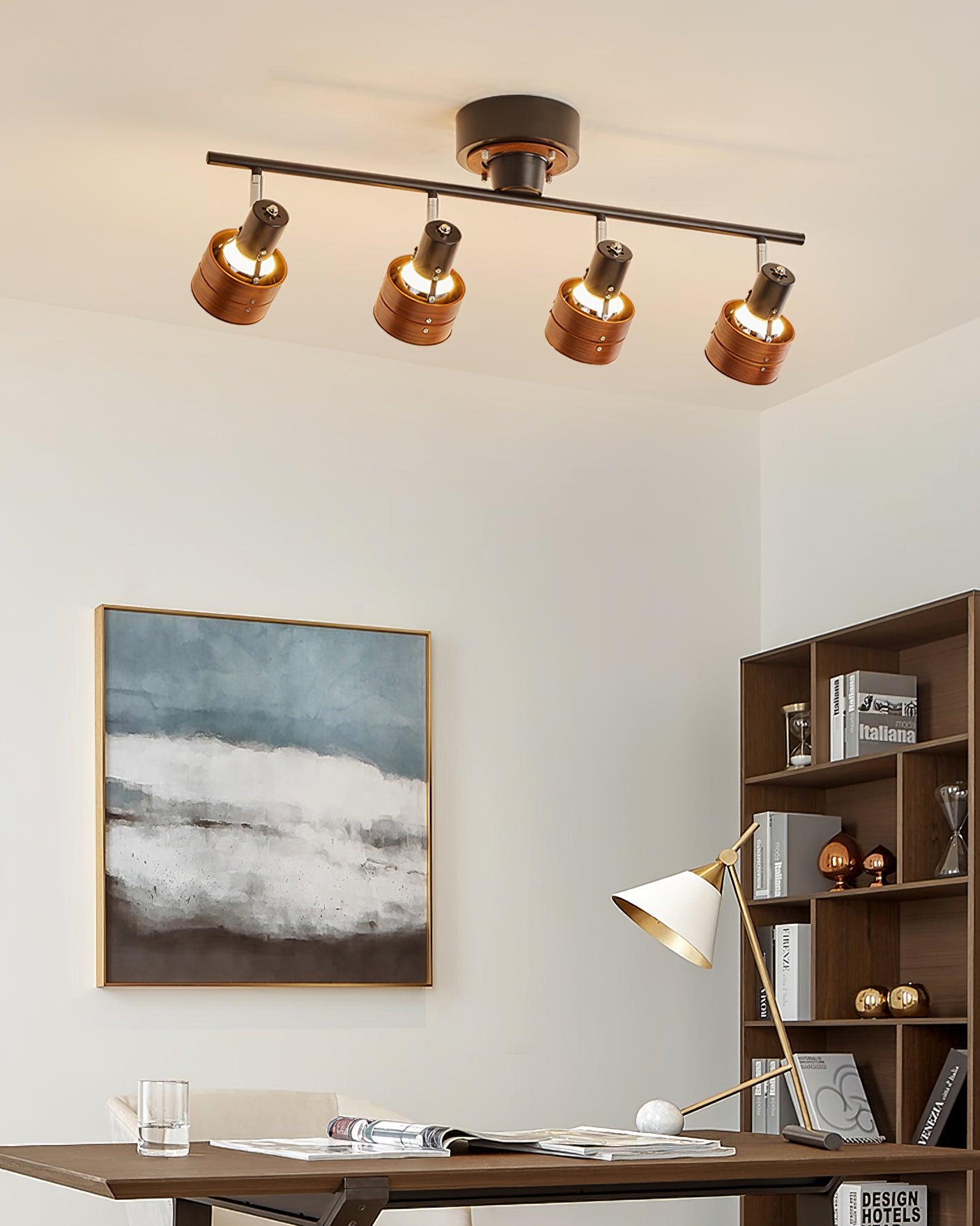 Daven Adjustable 4-Light Track Spotlight - Letslighting