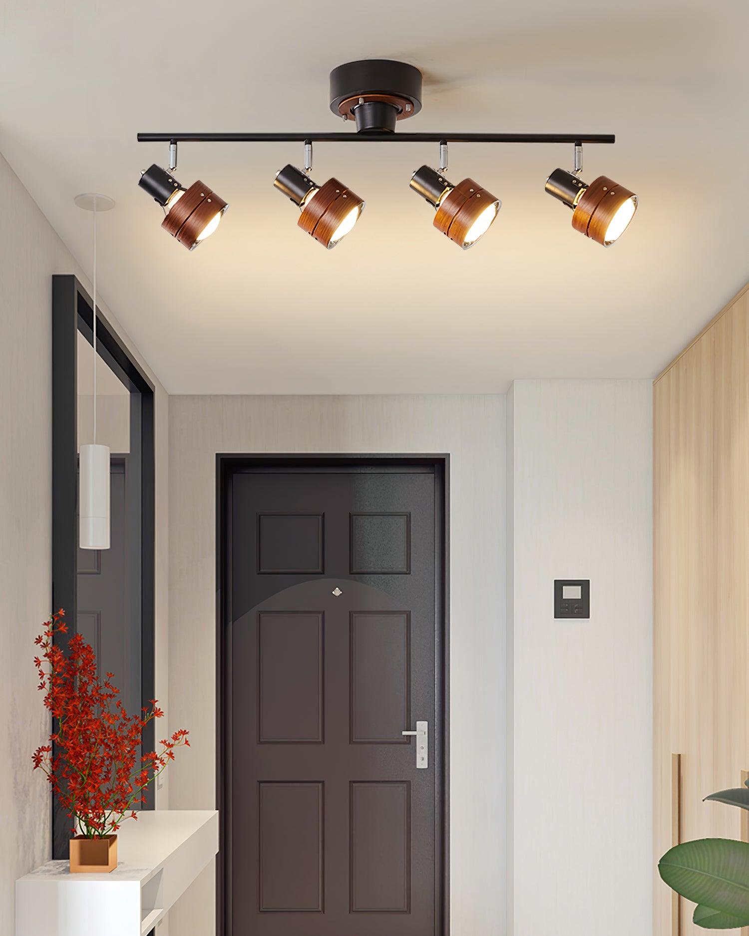 Daven Adjustable 4-Light Track Spotlight - Letslighting