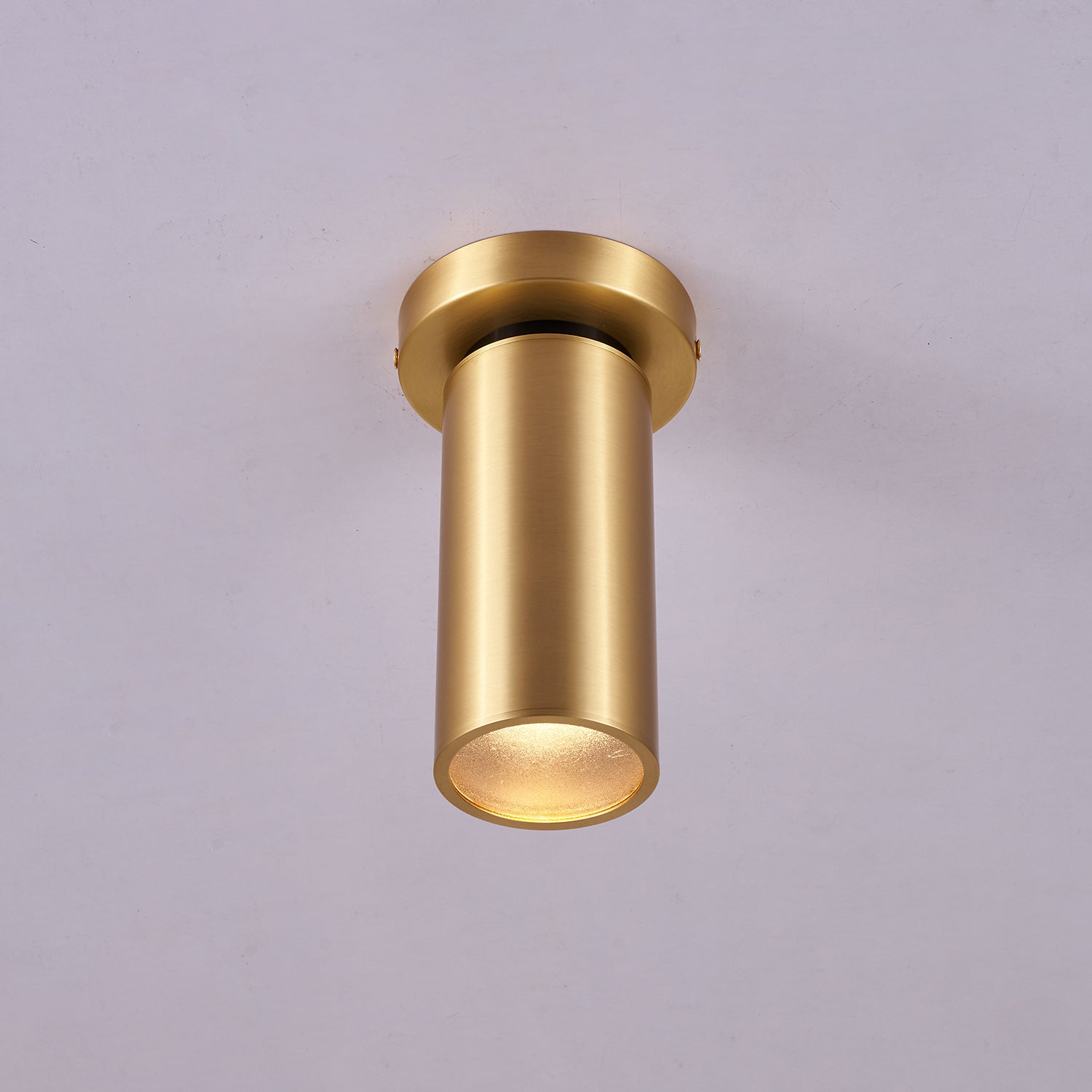 Horizon Brass Spot Light - Blowlighting