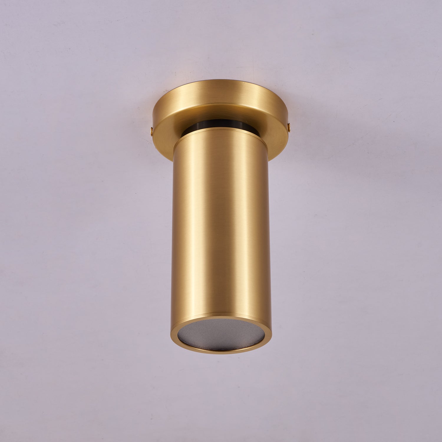 Horizon Brass Spot Light - Blowlighting