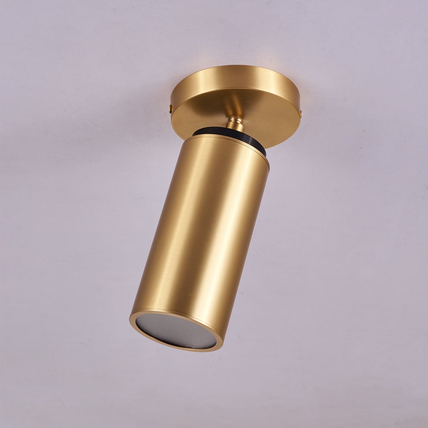 Horizon Brass Spot Light - Blowlighting