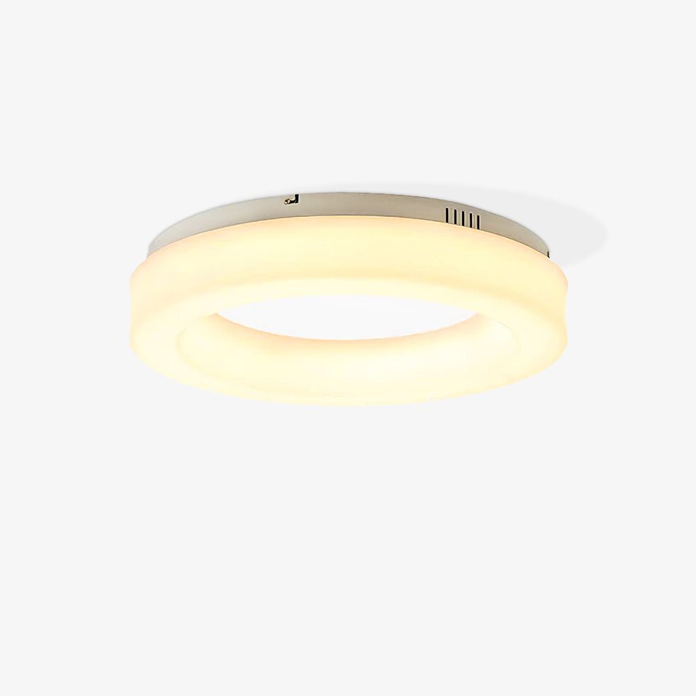 Erraeiel Modern Minimalist Art Metal Ceiling Light - Blowlighting