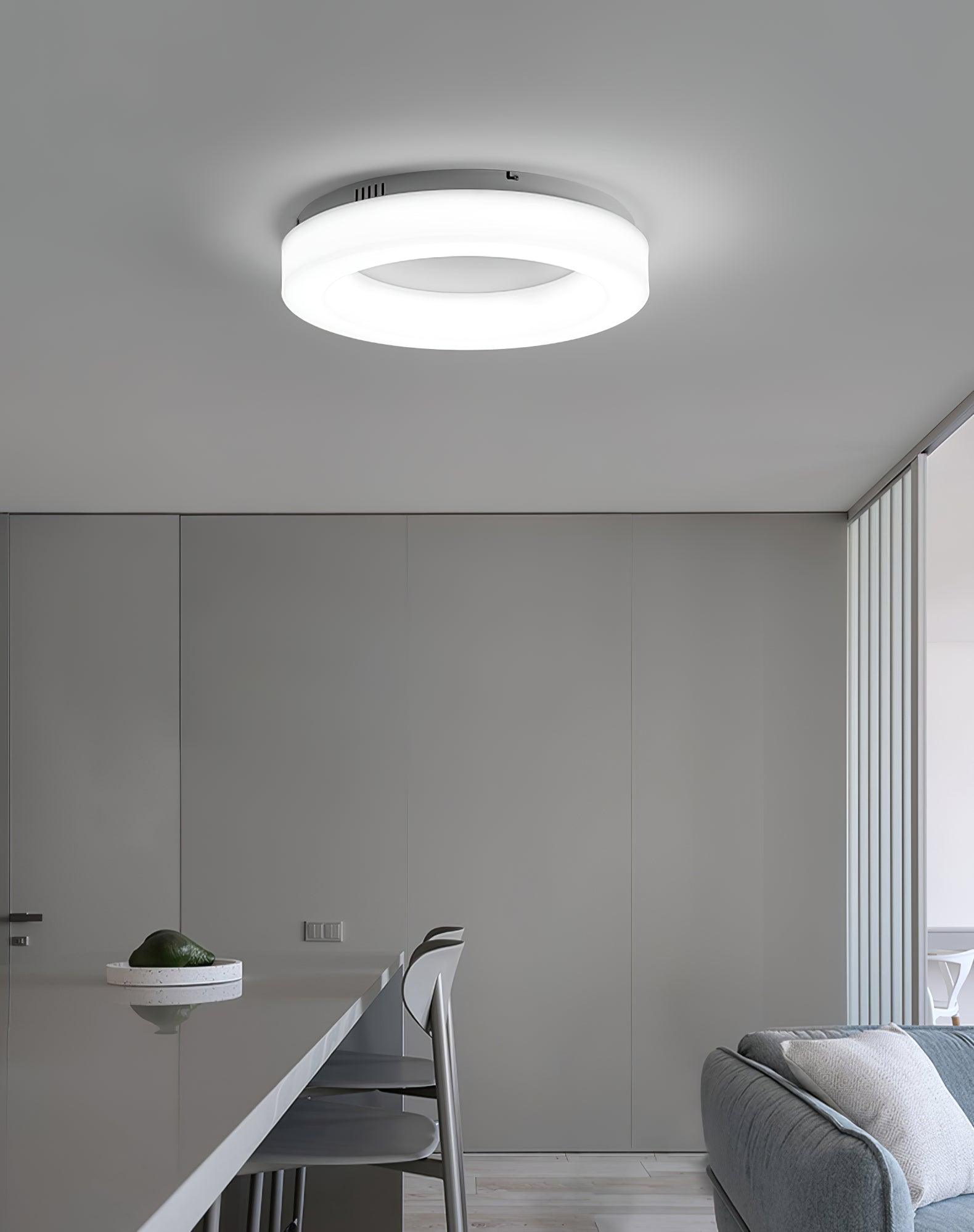 Erraeiel Modern Minimalist Art Metal Ceiling Light - Blowlighting
