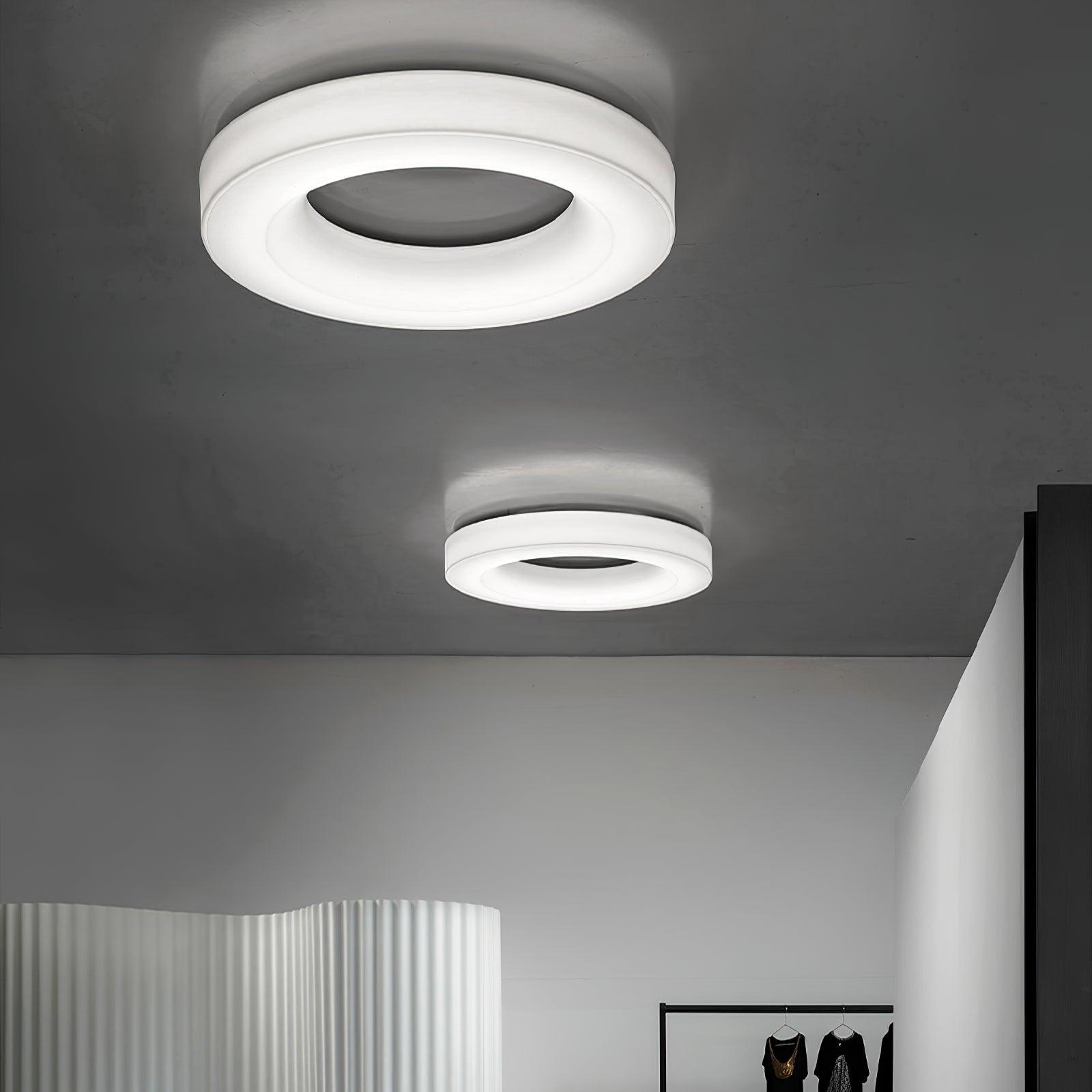 Erraeiel Modern Minimalist Art Metal Ceiling Light - Blowlighting