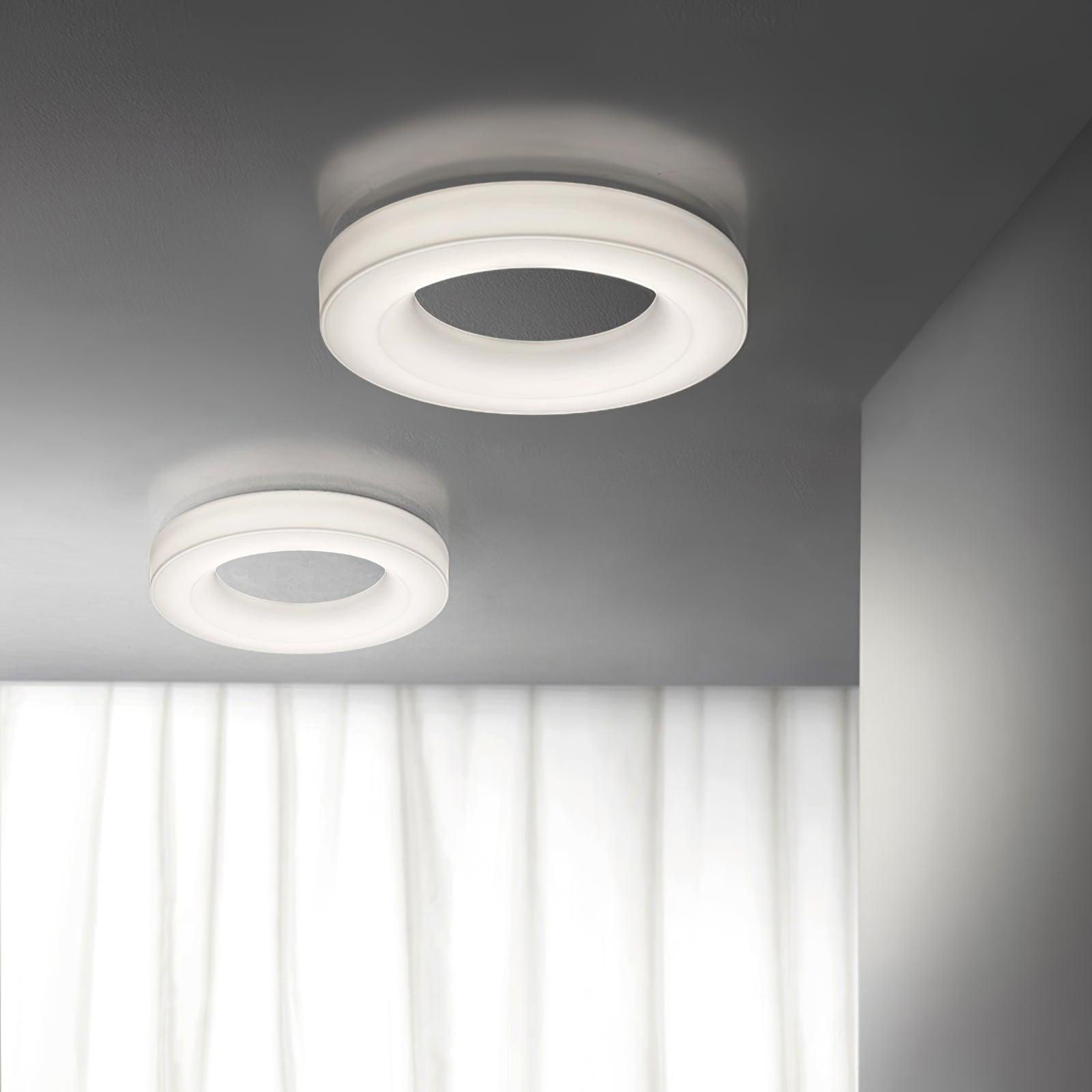 Erraeiel Modern Minimalist Art Metal Ceiling Light - Blowlighting