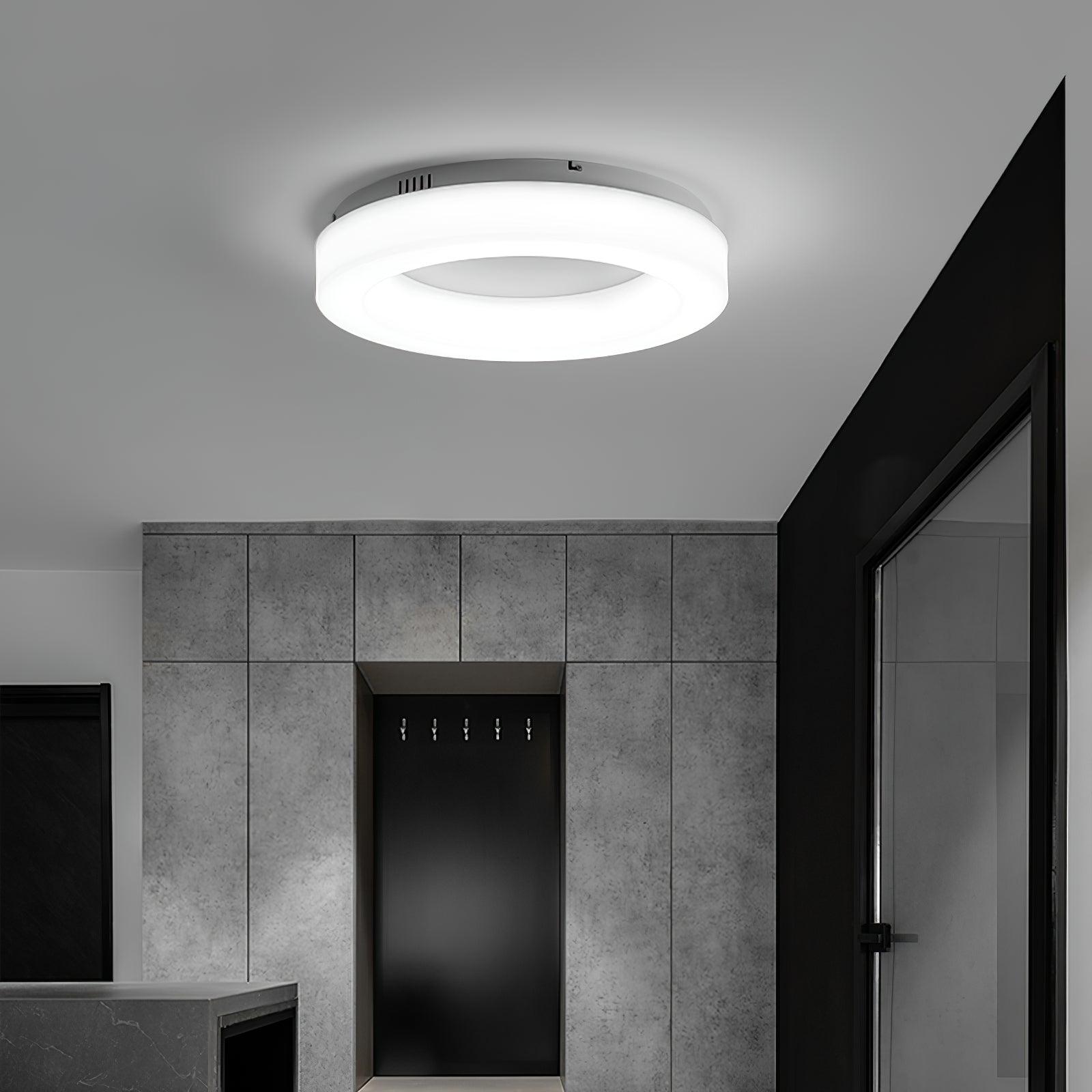 Erraeiel Modern Minimalist Art Metal Ceiling Light - Blowlighting