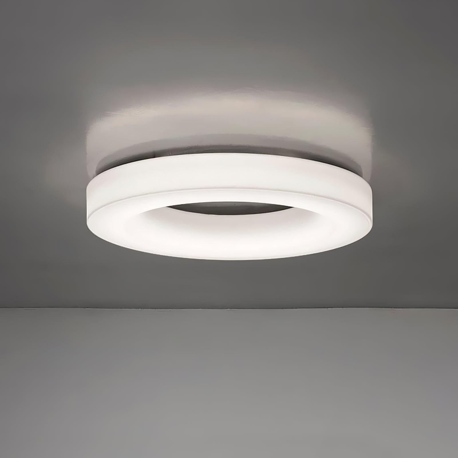 Erraeiel Modern Minimalist Art Metal Ceiling Light - Blowlighting