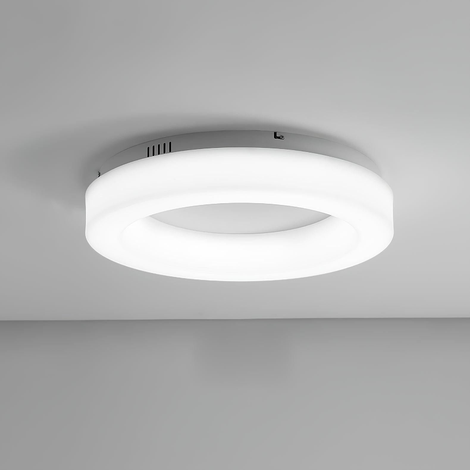 Erraeiel Modern Minimalist Art Metal Ceiling Light - Blowlighting