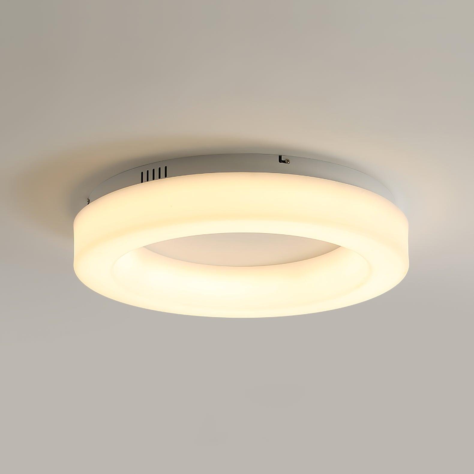 Erraeiel Modern Minimalist Art Metal Ceiling Light - Blowlighting