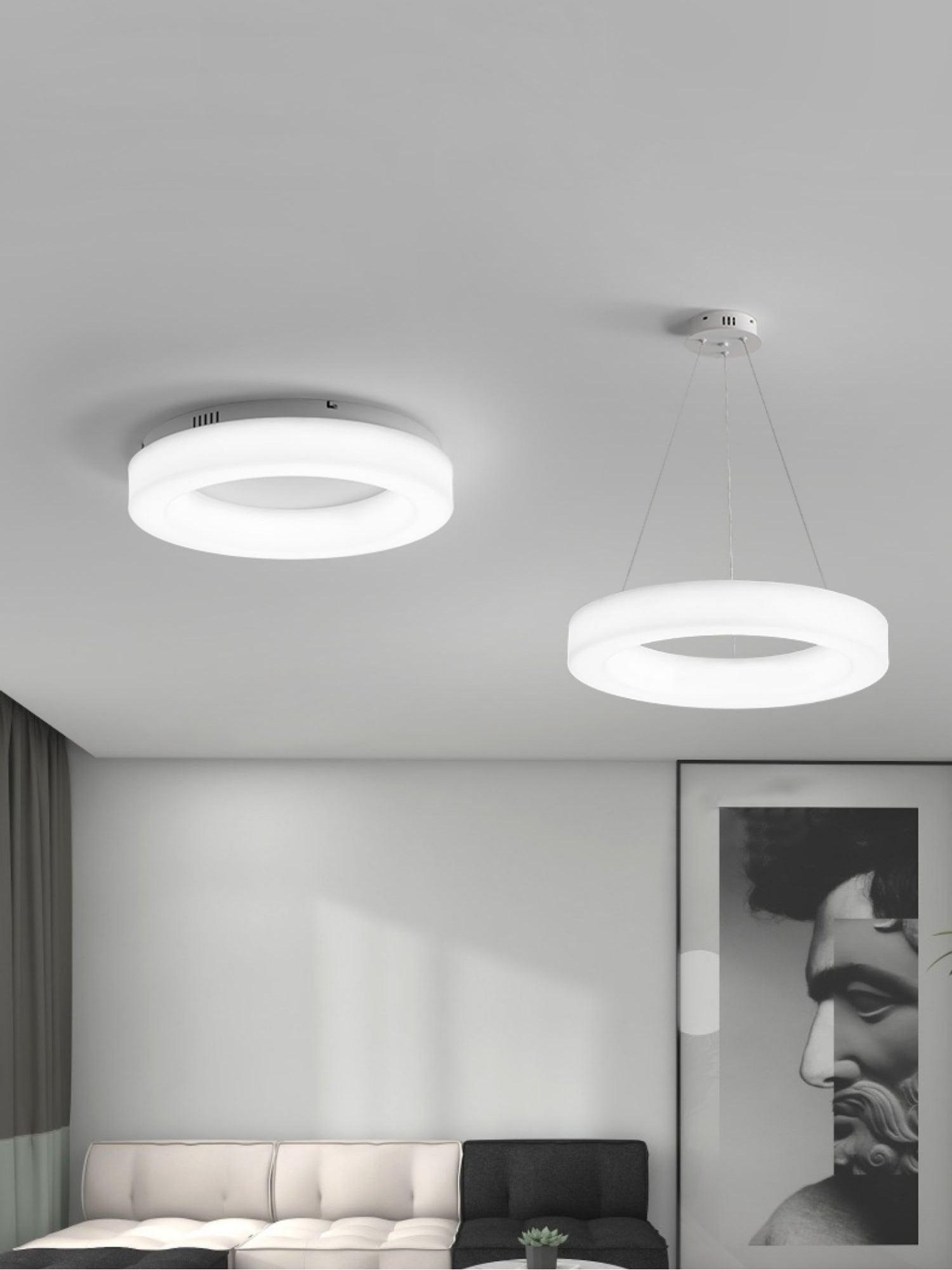 Erraeiel Modern Minimalist Art Metal Ceiling Light - Blowlighting