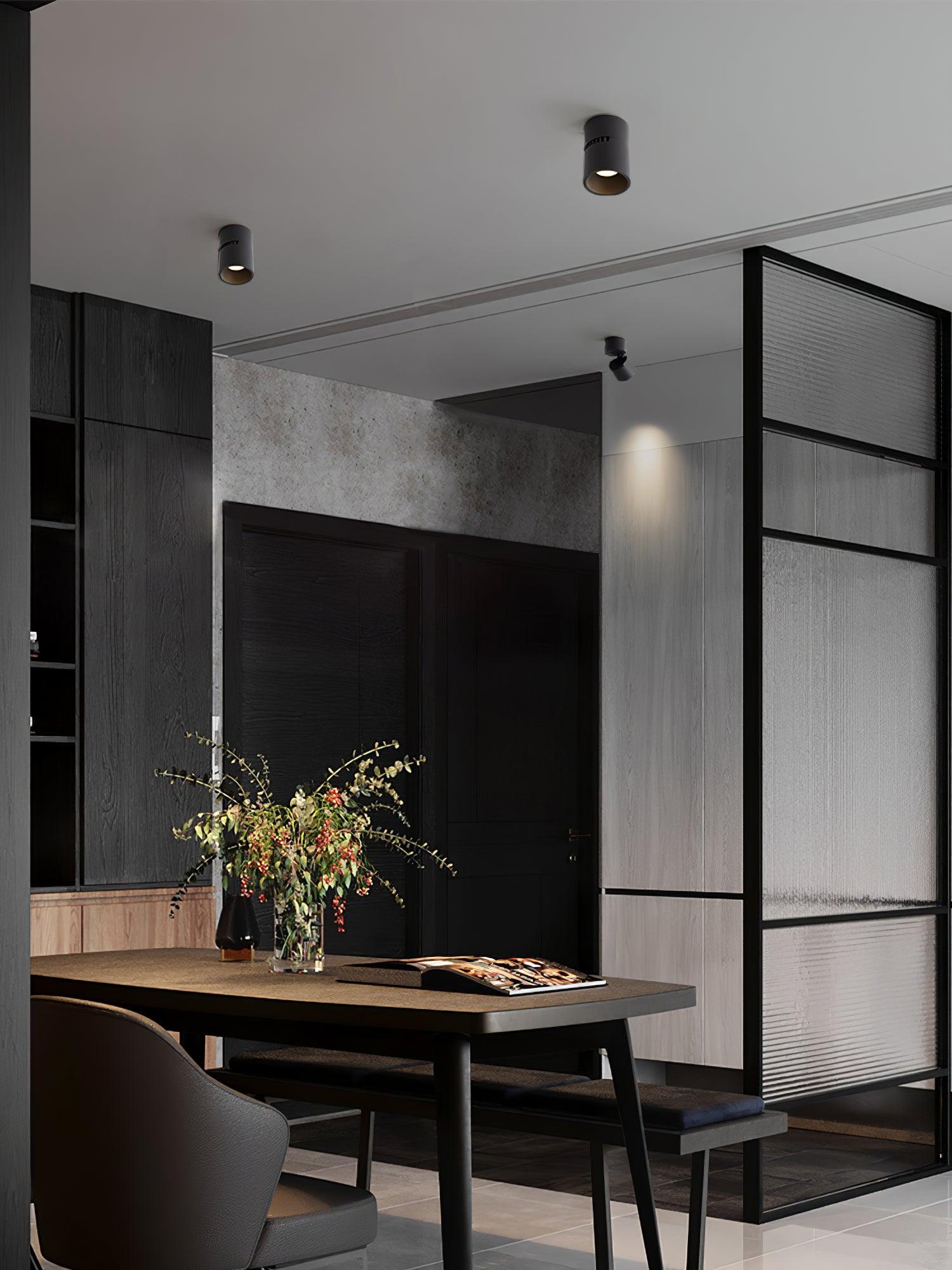 Lara2 Spotlights - Blowlighting