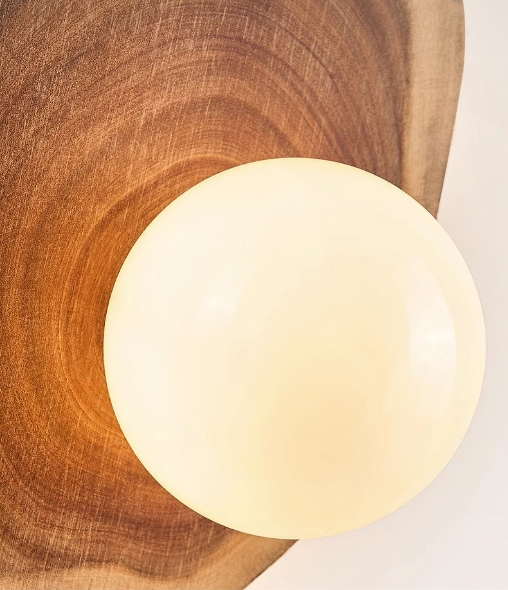 Ligna Moderne Minimaliste Verre Bois Applique Murale Lampe