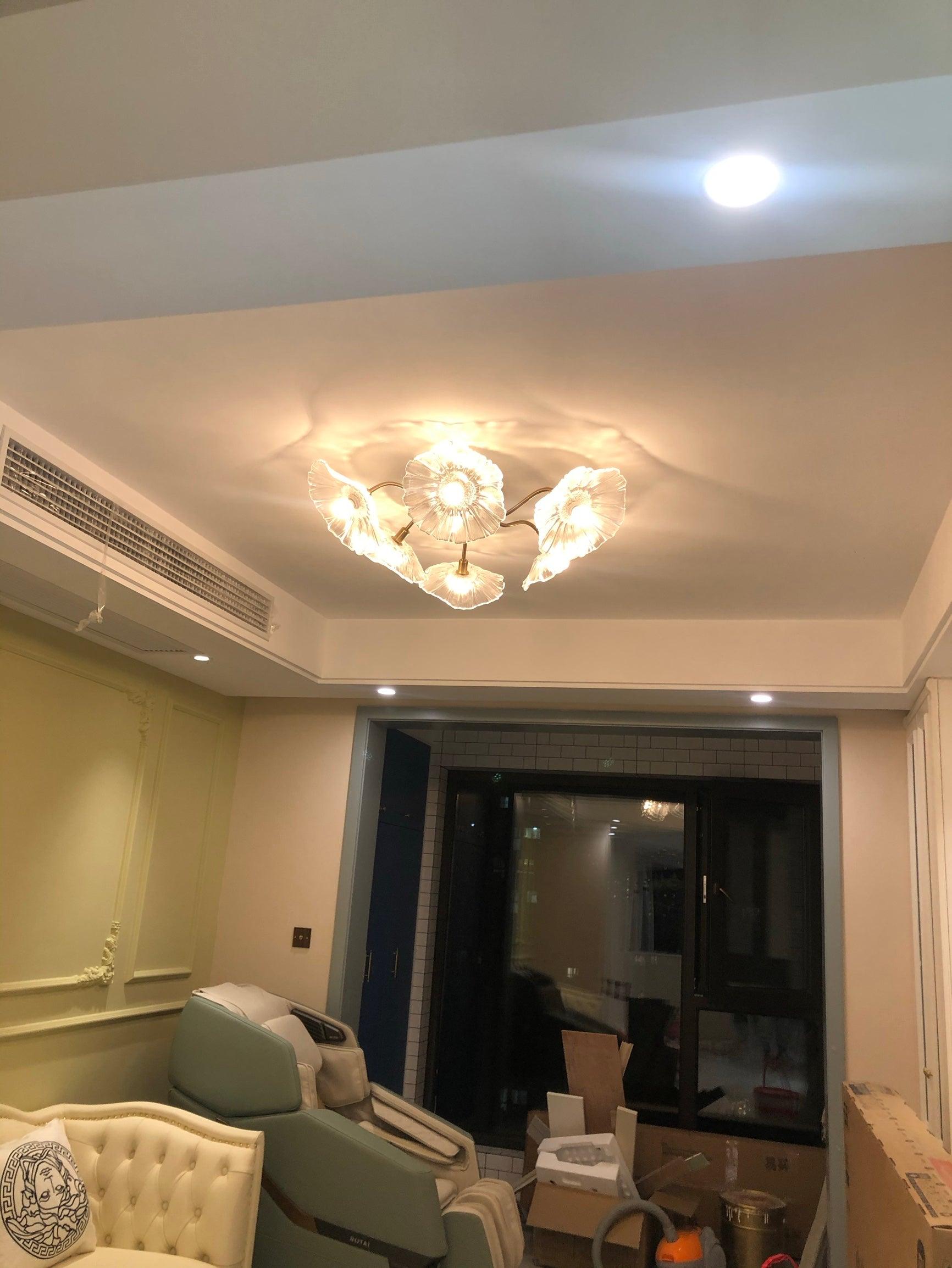 Lotus Leaf Glass Ceiling Lamp - Blowlighting