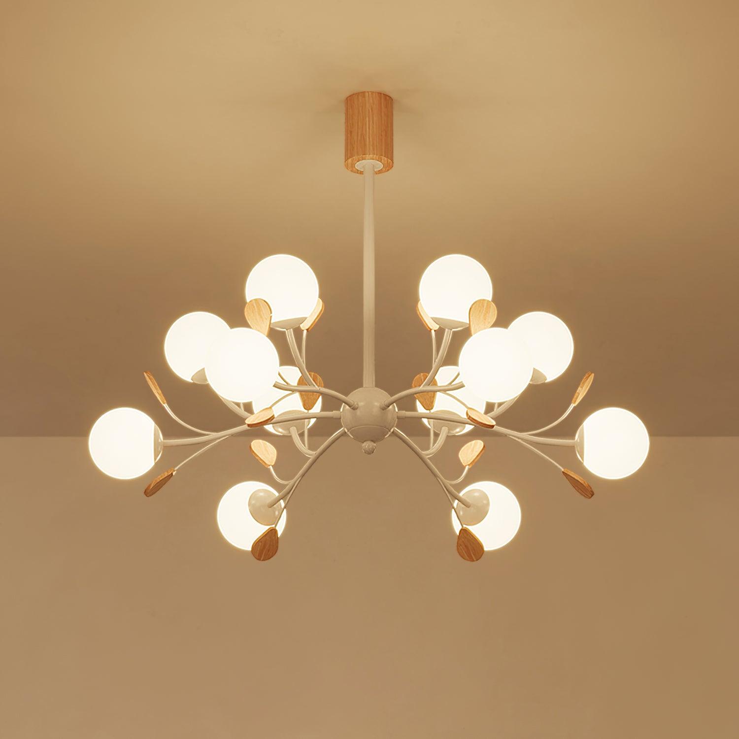 Viva Chandelier - Letslighting