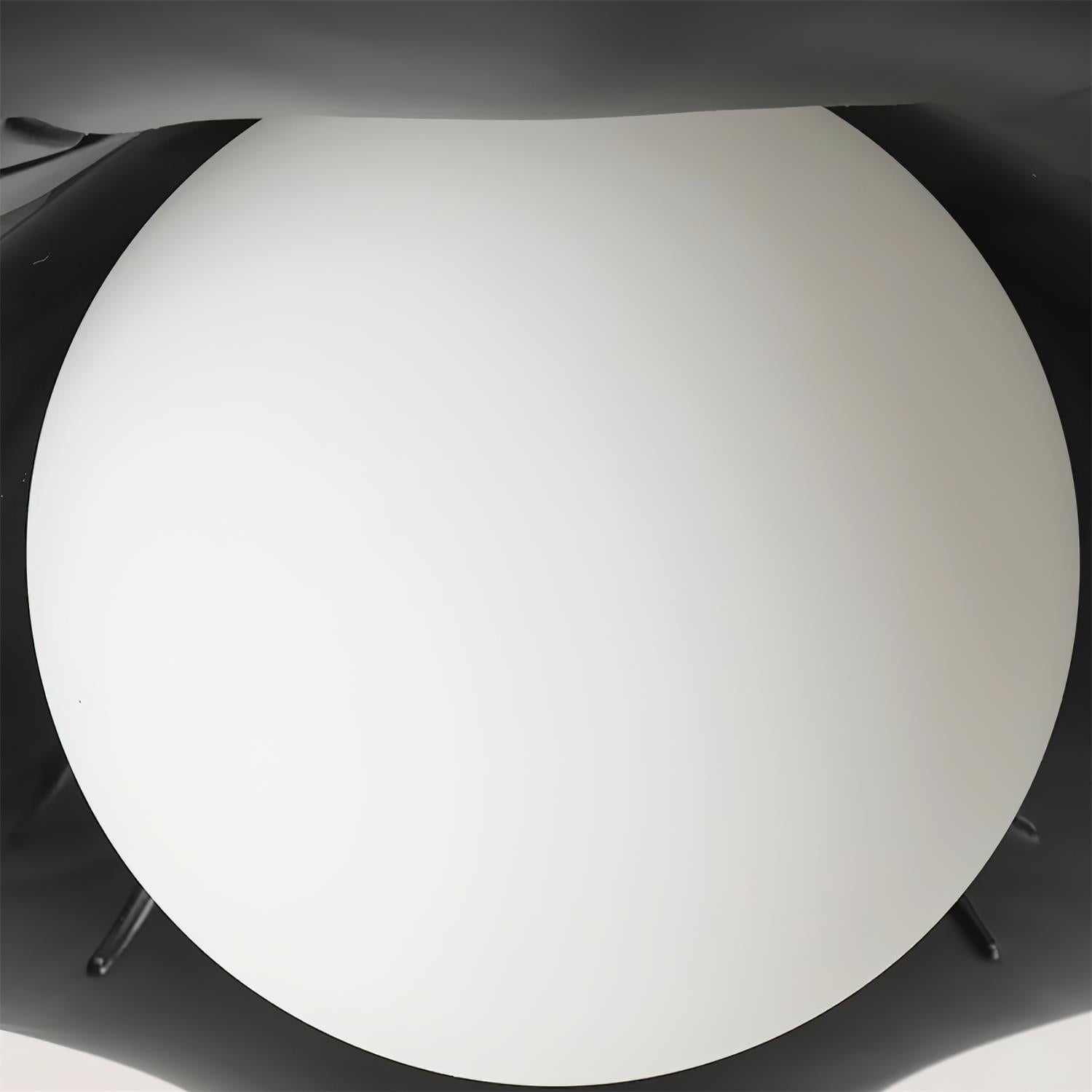 Monae Ceiling Light Petal Black Globe - Letslighting
