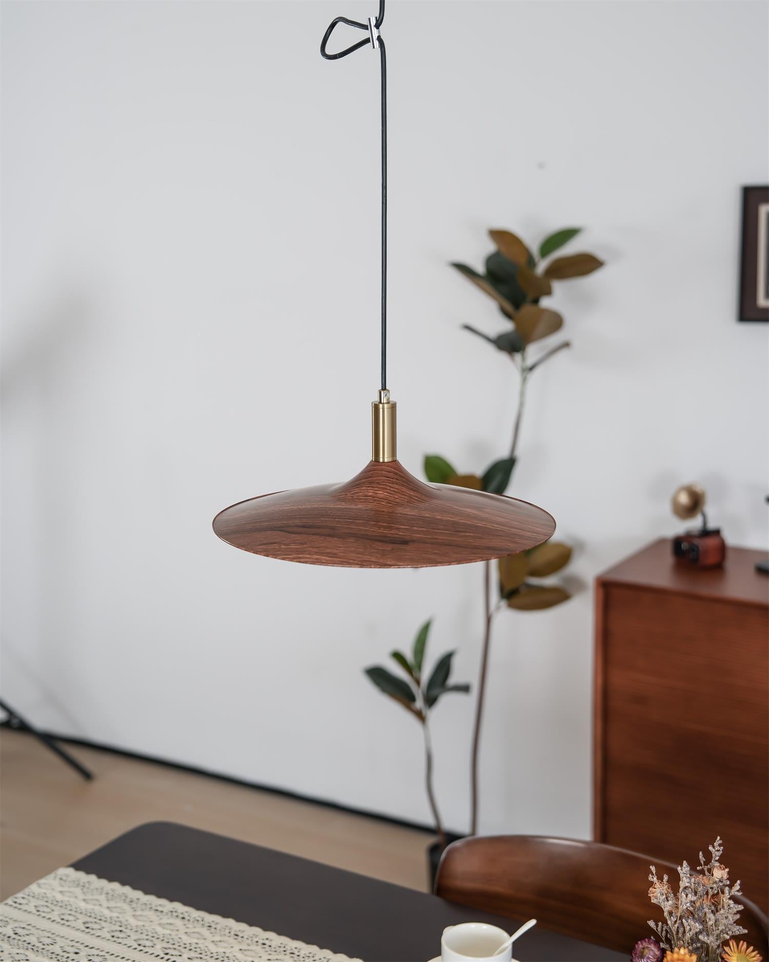 Veylo Adjustable Swing Arm Pendant Light - Letslighting