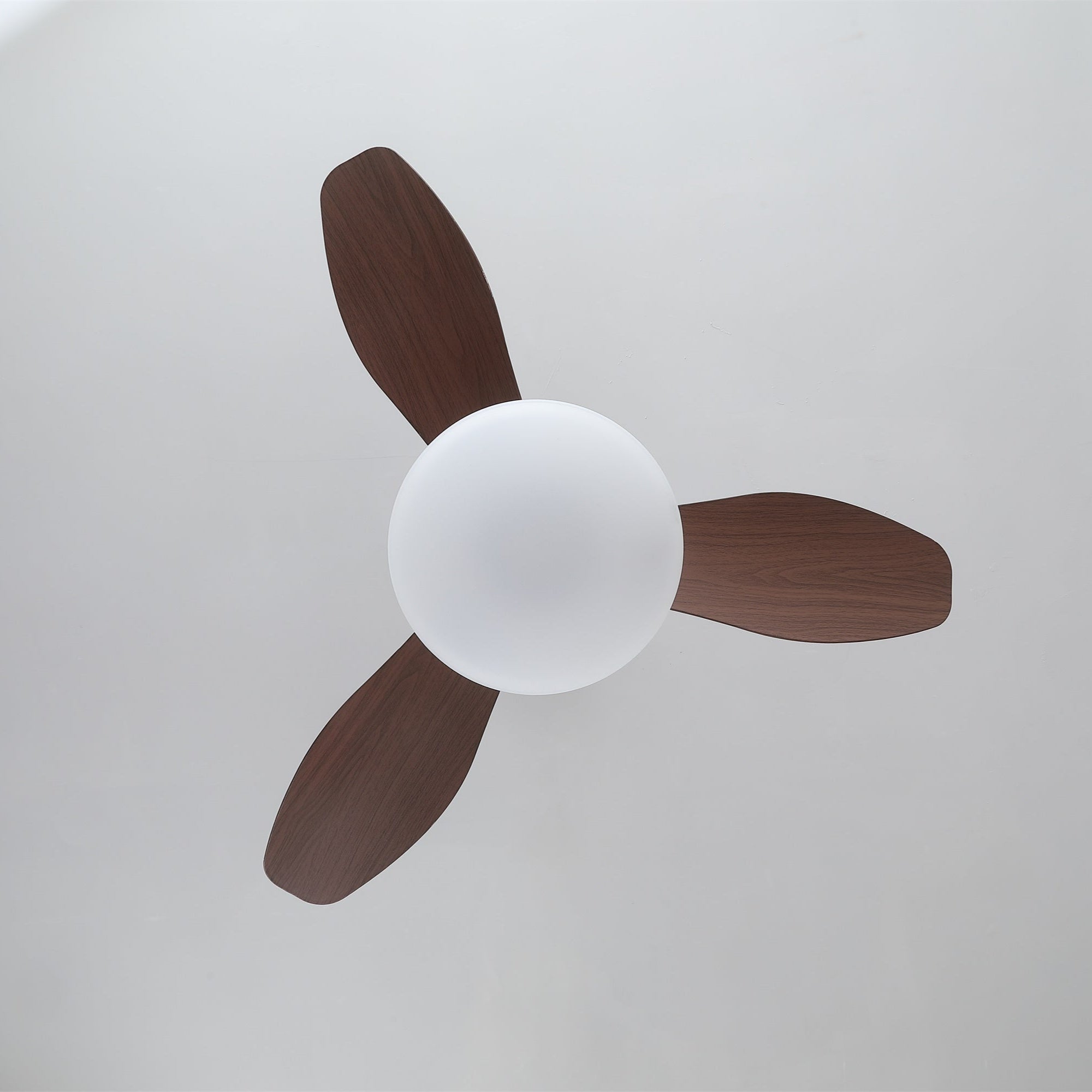 Zephira Plafonnier Ventilateur Élégant et Moderne
