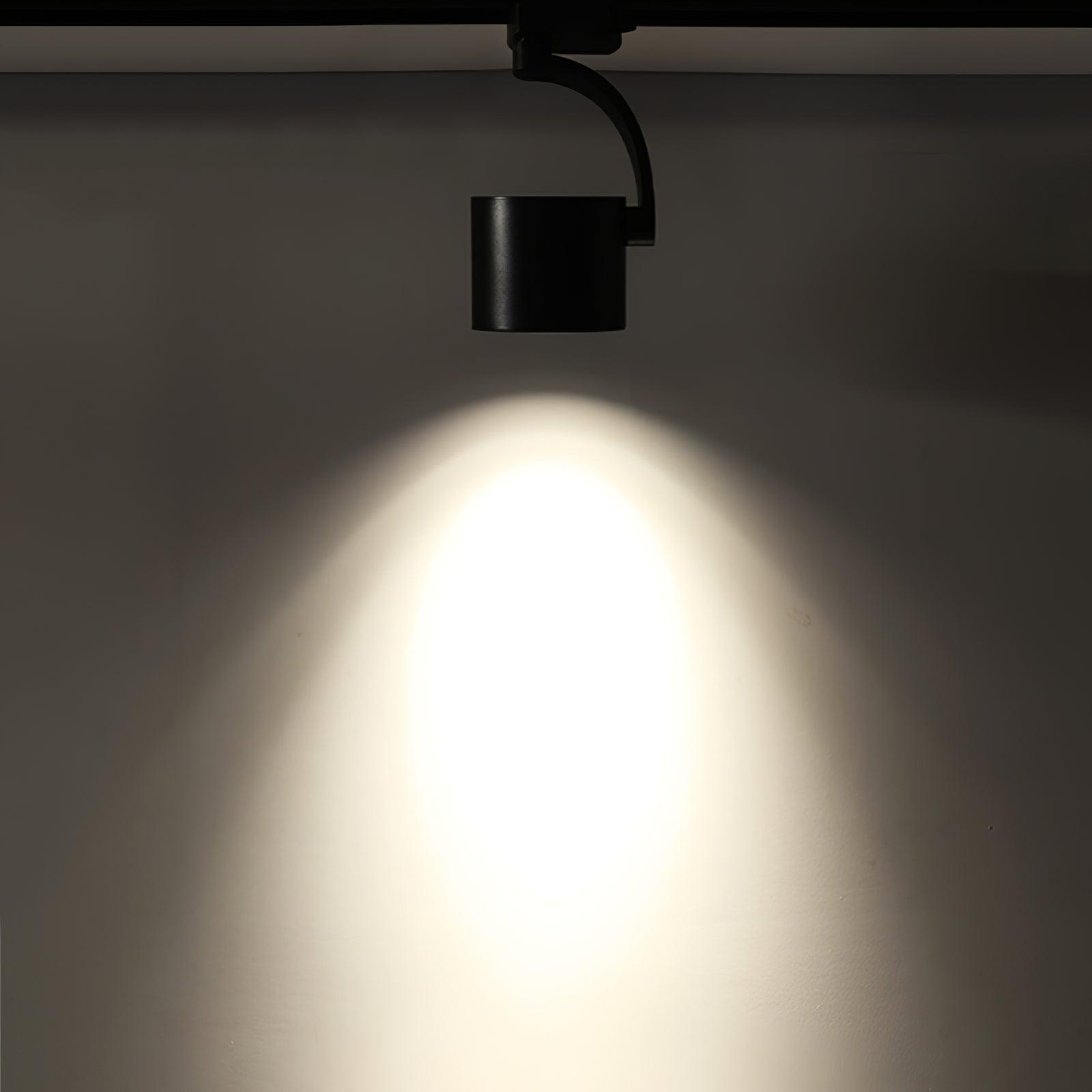 Paloma Ceiling Light - Blowlighting