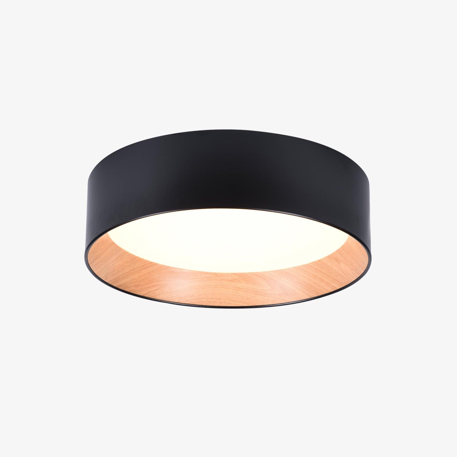 Round Ceiling Lamp - Blowlighting
