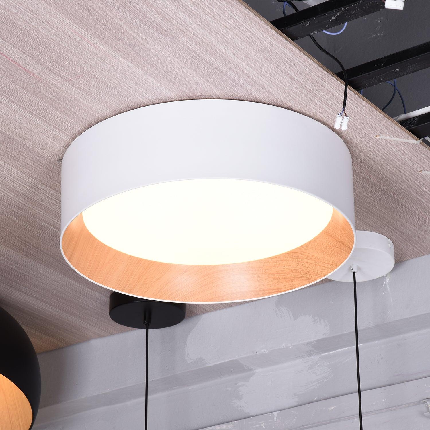 Round Ceiling Lamp - Blowlighting