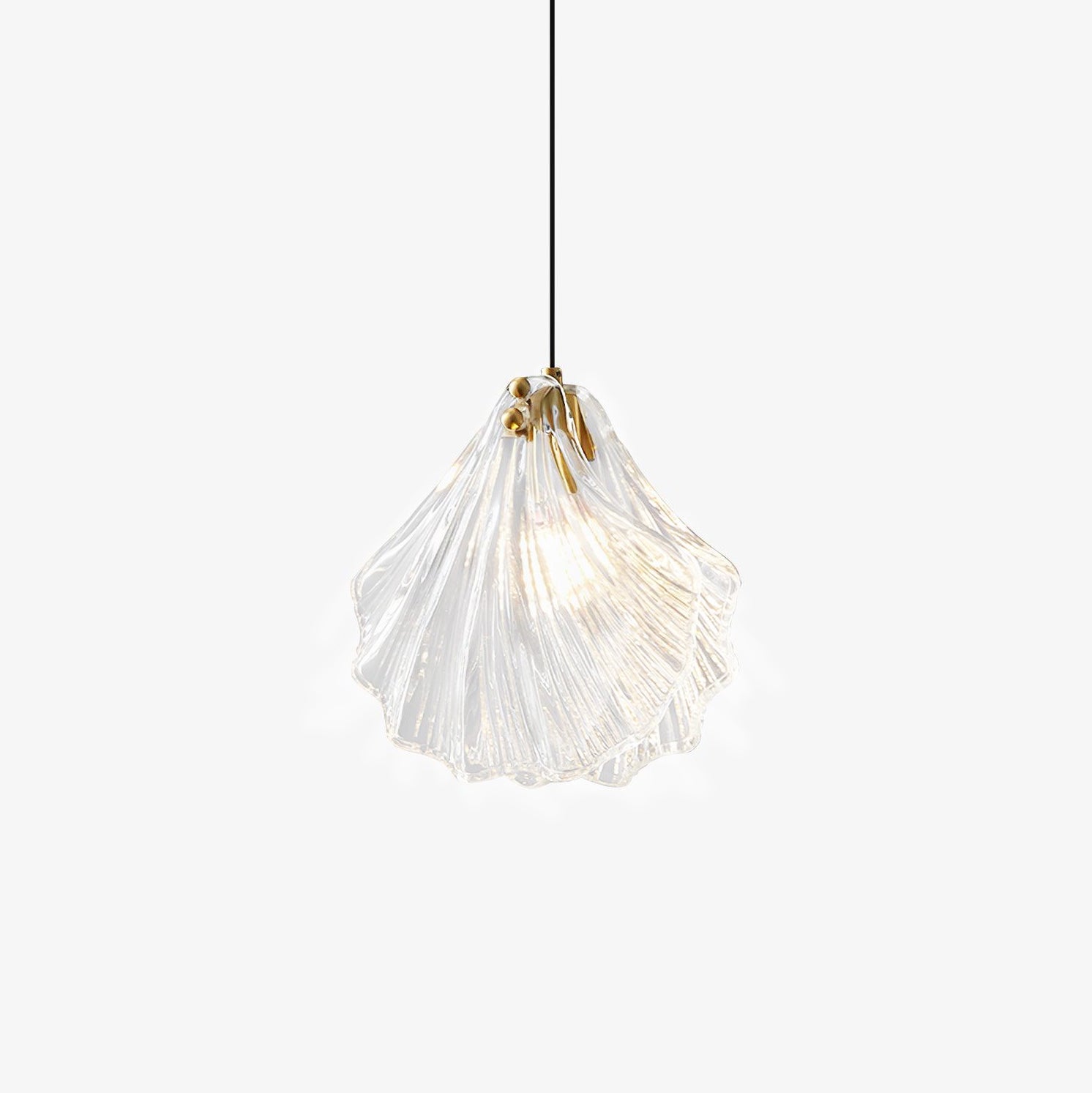 Shell Mini Pendant Swag Light - Blowlighting
