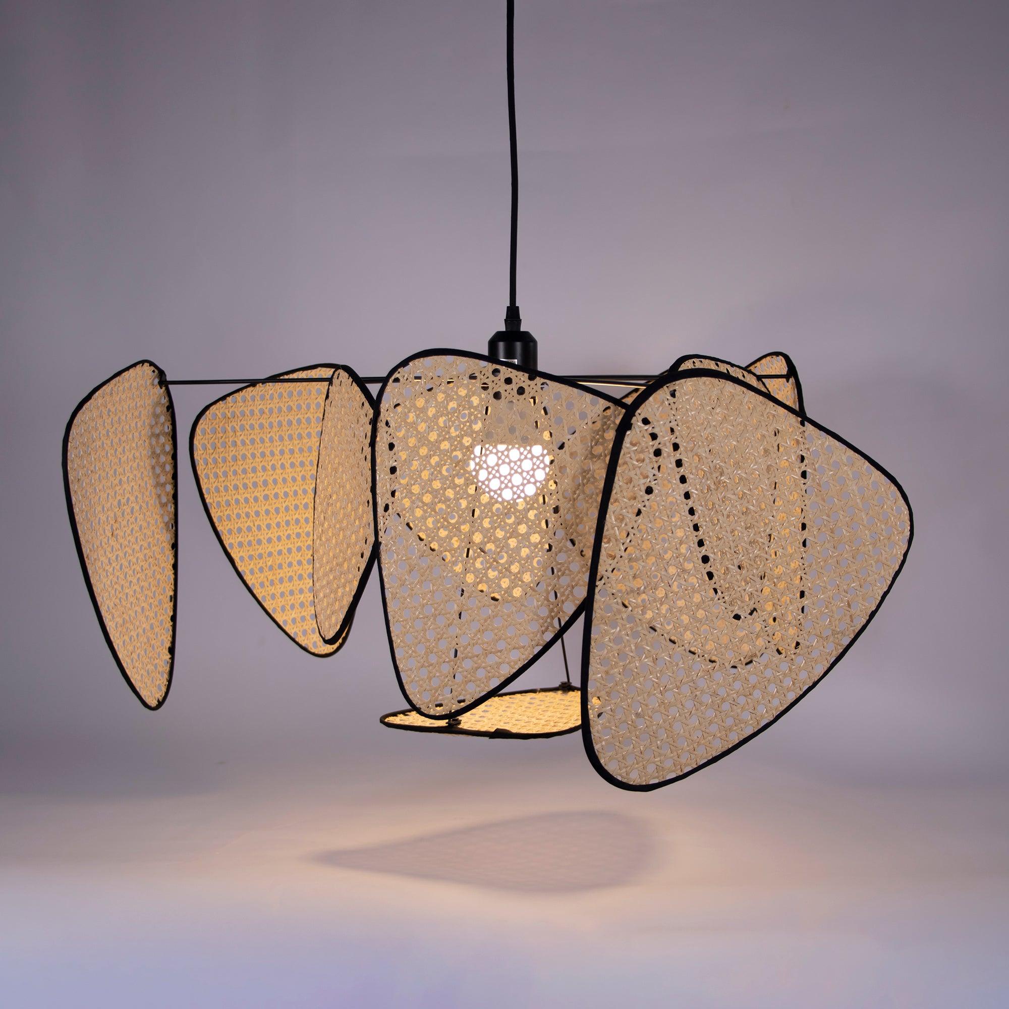 Screen Cannage Suspension - Blowlighting