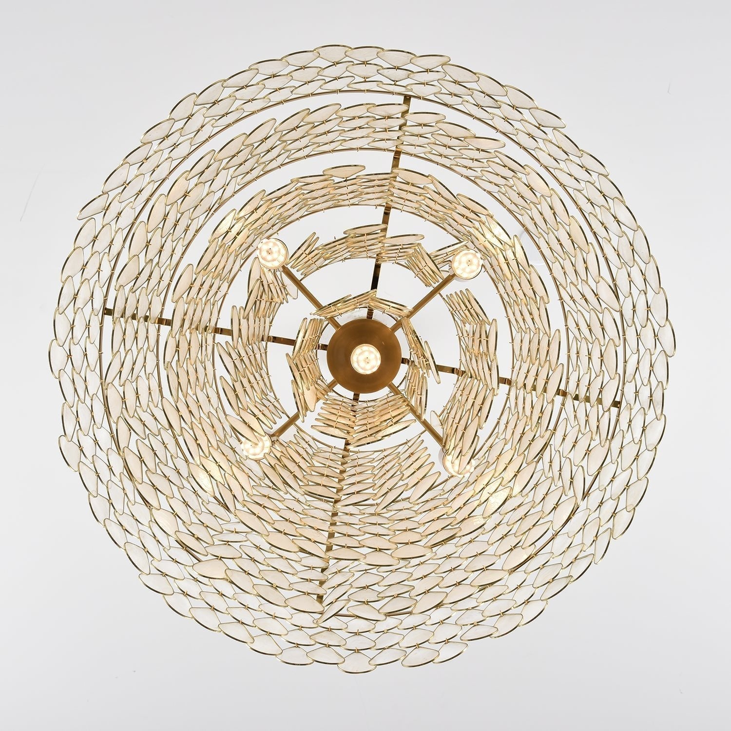 Teardrops Shell Chandelier - Blowlighting