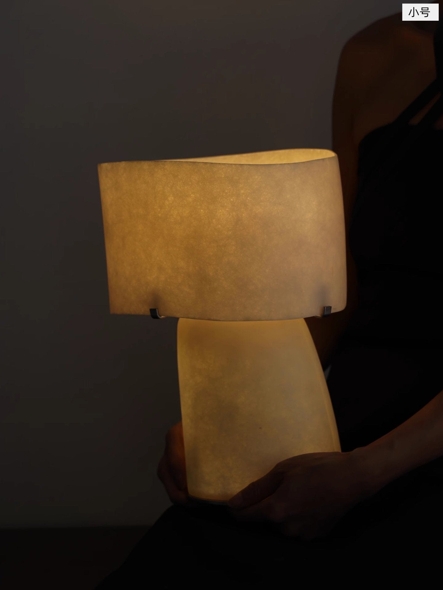 Vellum Moderne Minimaliste Plastique Métal Lampe de Table