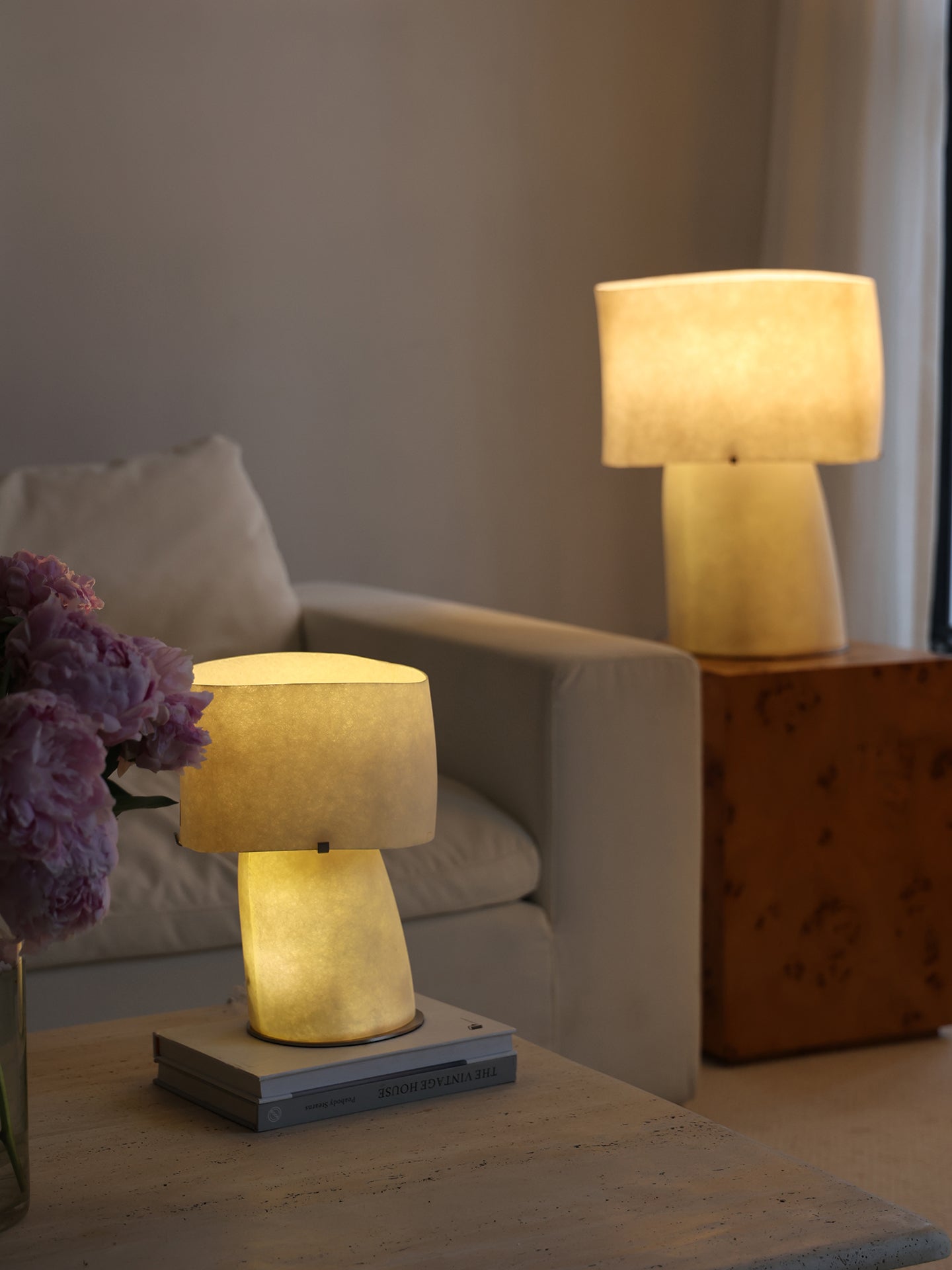 Vellum Moderne Minimaliste Plastique Métal Lampe de Table